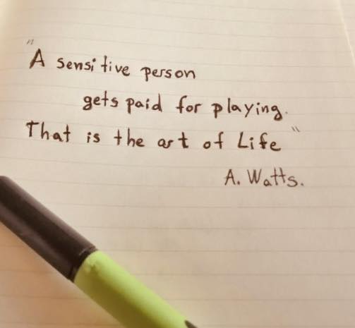 Ruff House Critter Sitters Hardin