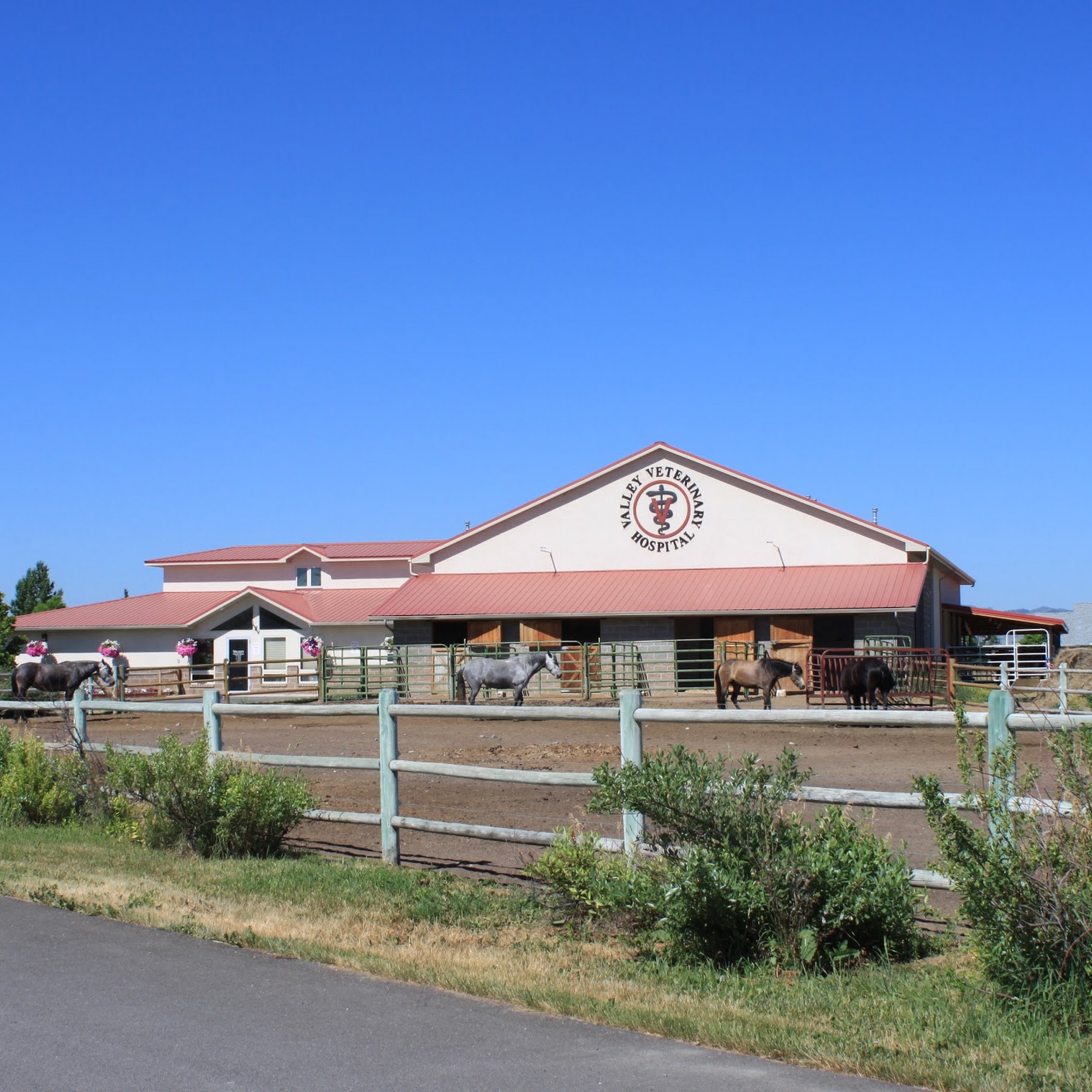 Valley Veterinary Hospital Helena