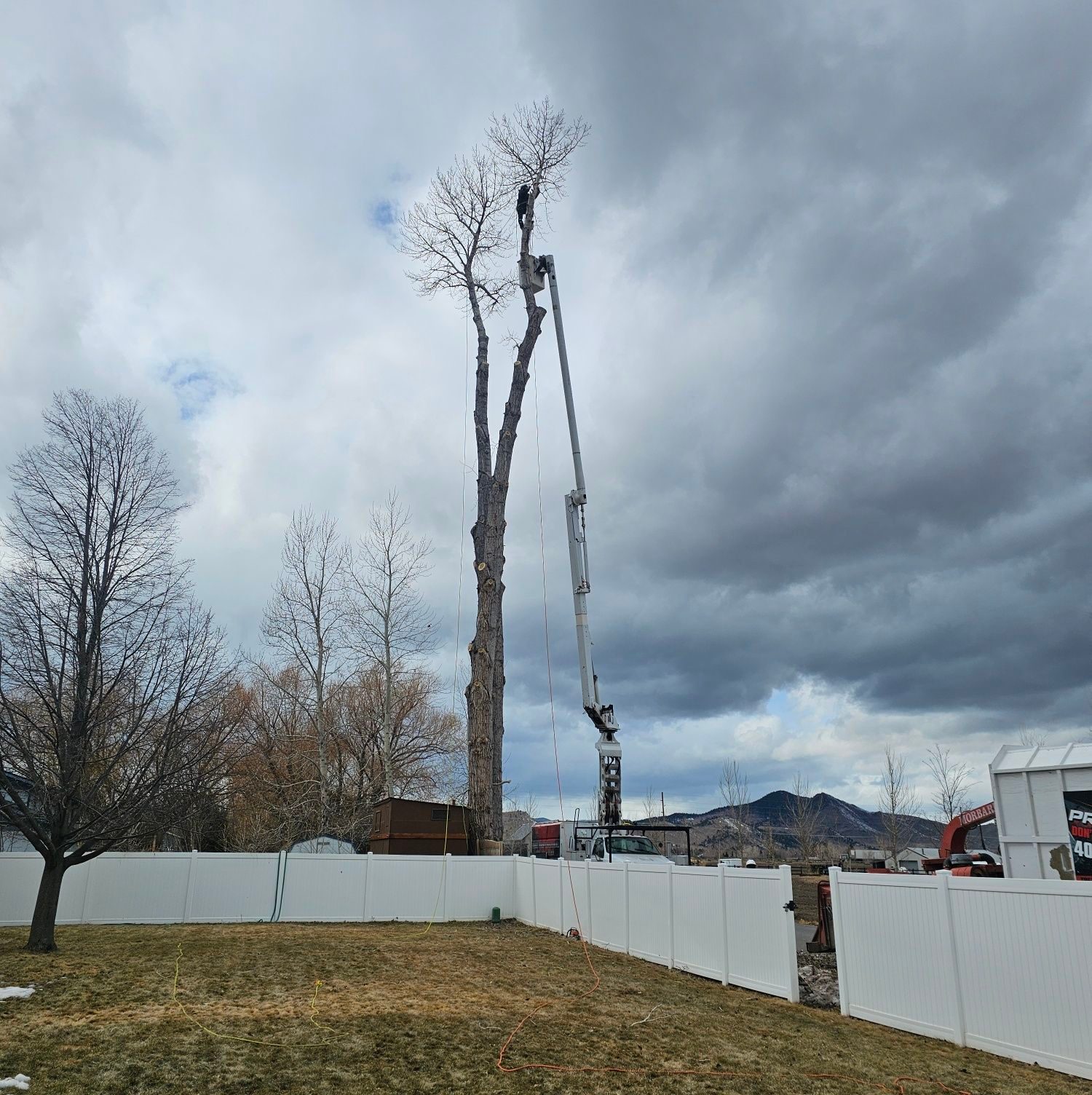 Tree Pro's