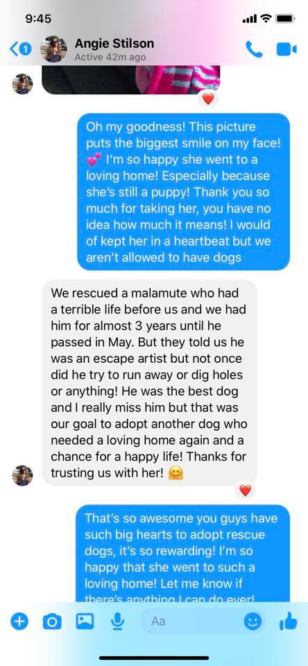 Brianna kresge lashes