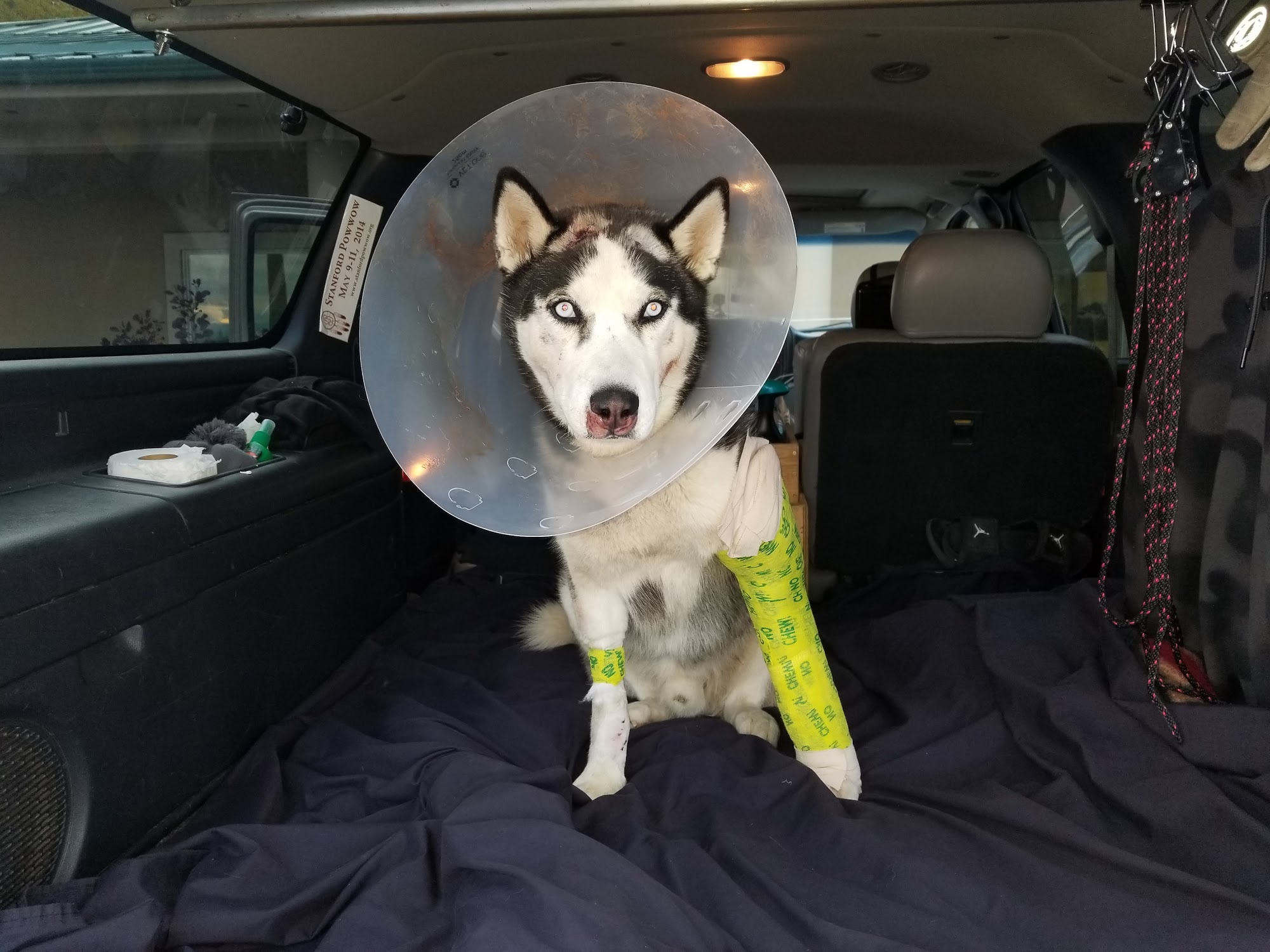 Central Valley Animal Hospital Kalispell