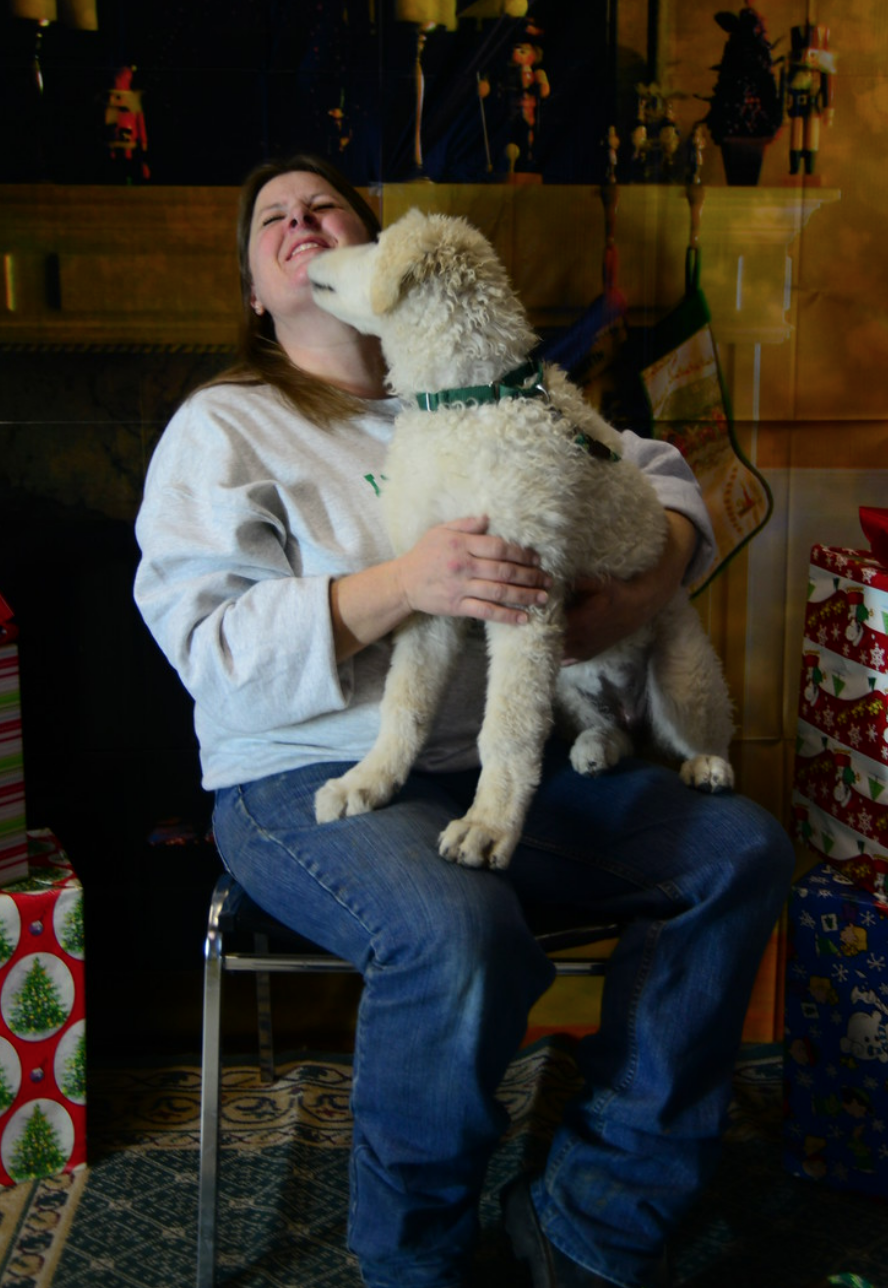 Lucky Dog Day Camp Kalispell
