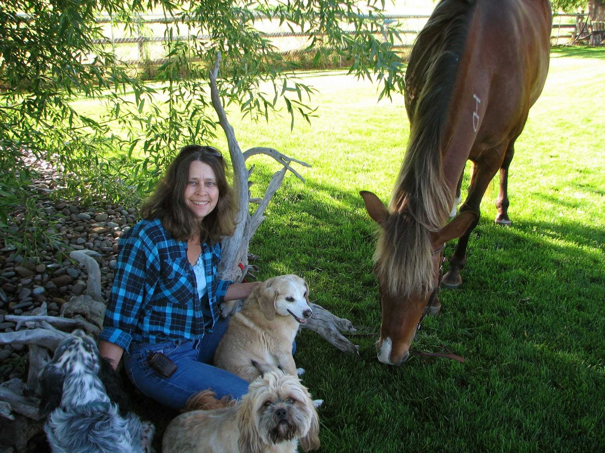 A Pet Boarding Retreat (PBR Kennels) Kalispell