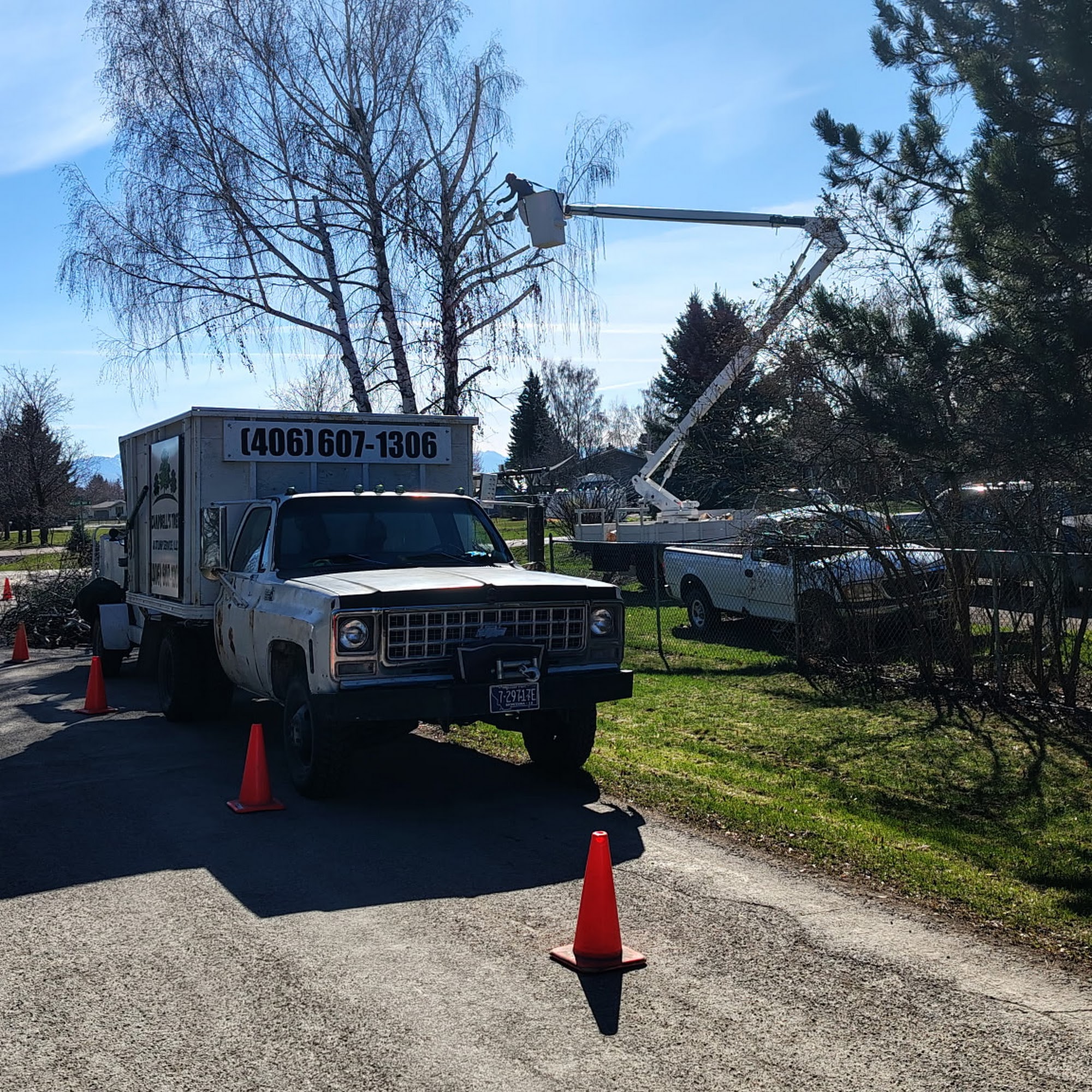 Campbell's Tree & Stump Service, LLC 289 Sirucek Ln, Kalispell Montana 59901