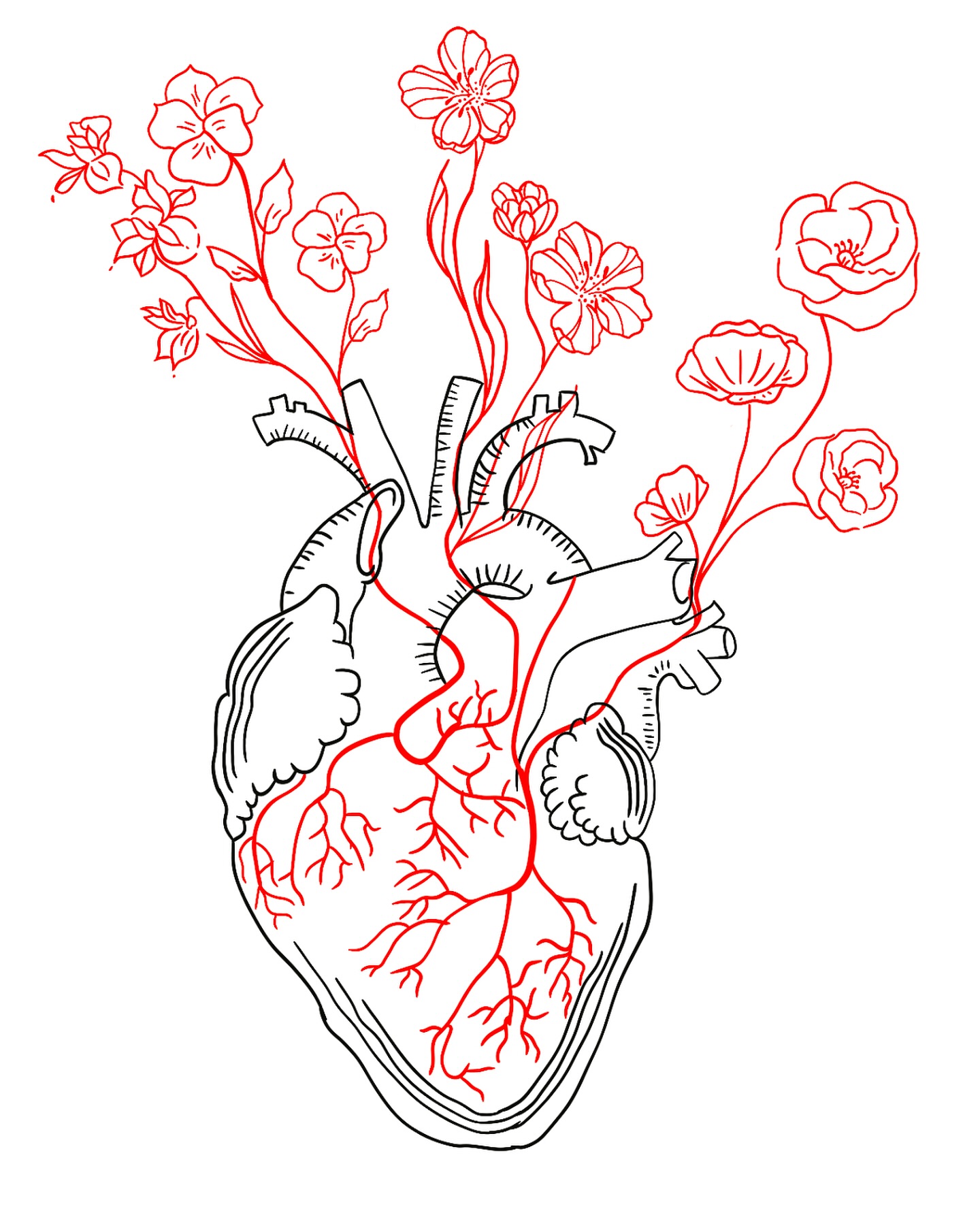 Wild Daisy Esthetics