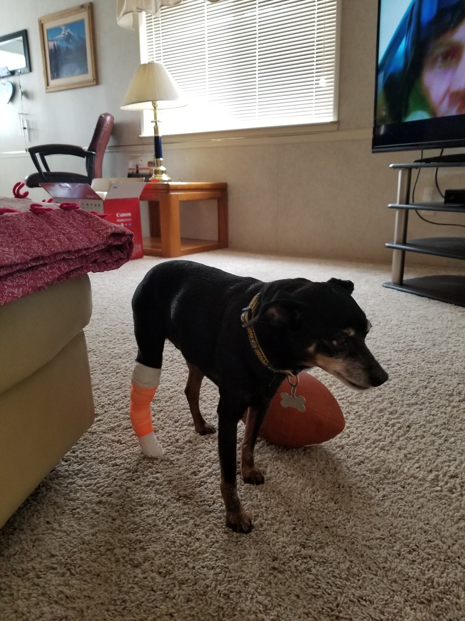 Friendship Veterinary Center Laurel