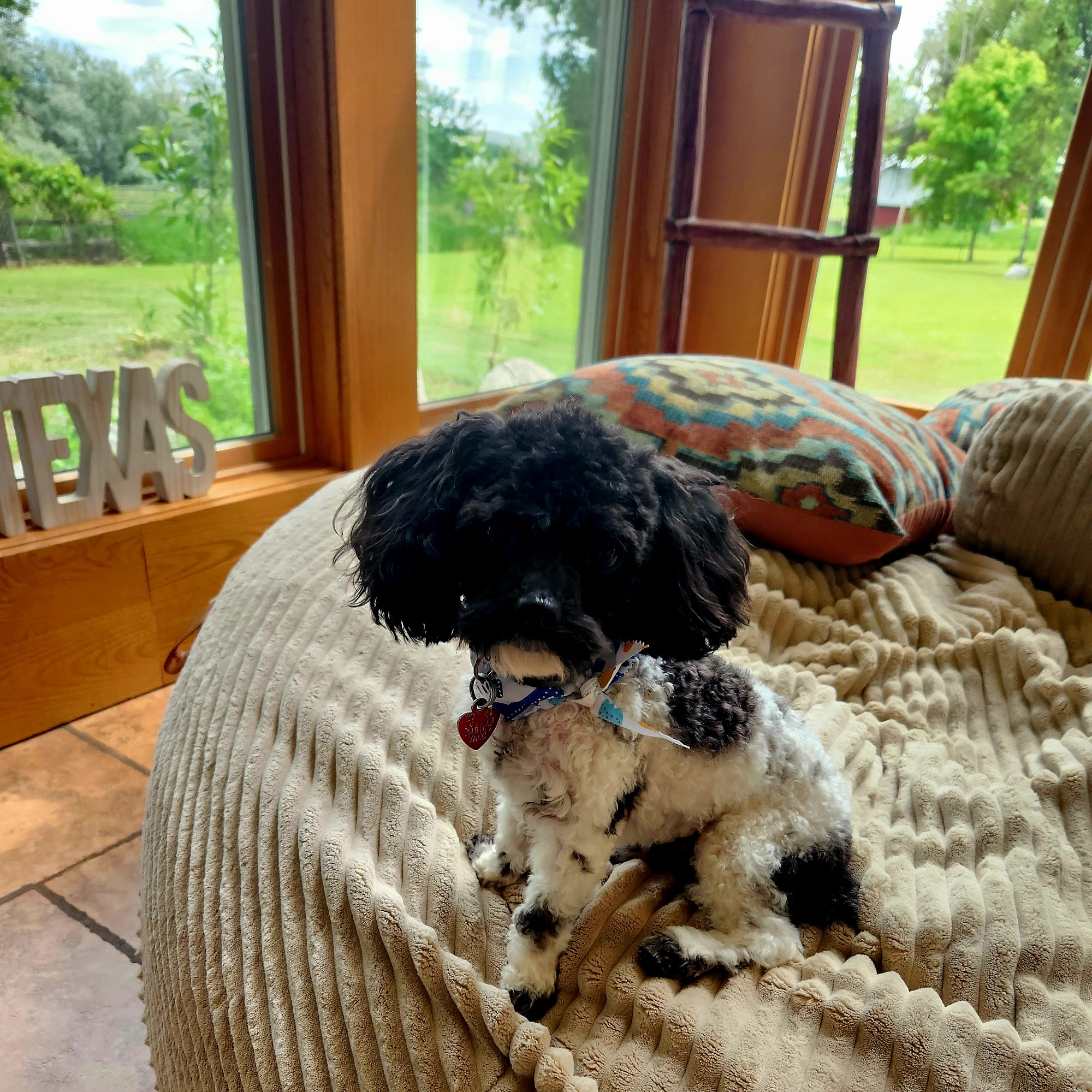 Friendship Veterinary Center Laurel