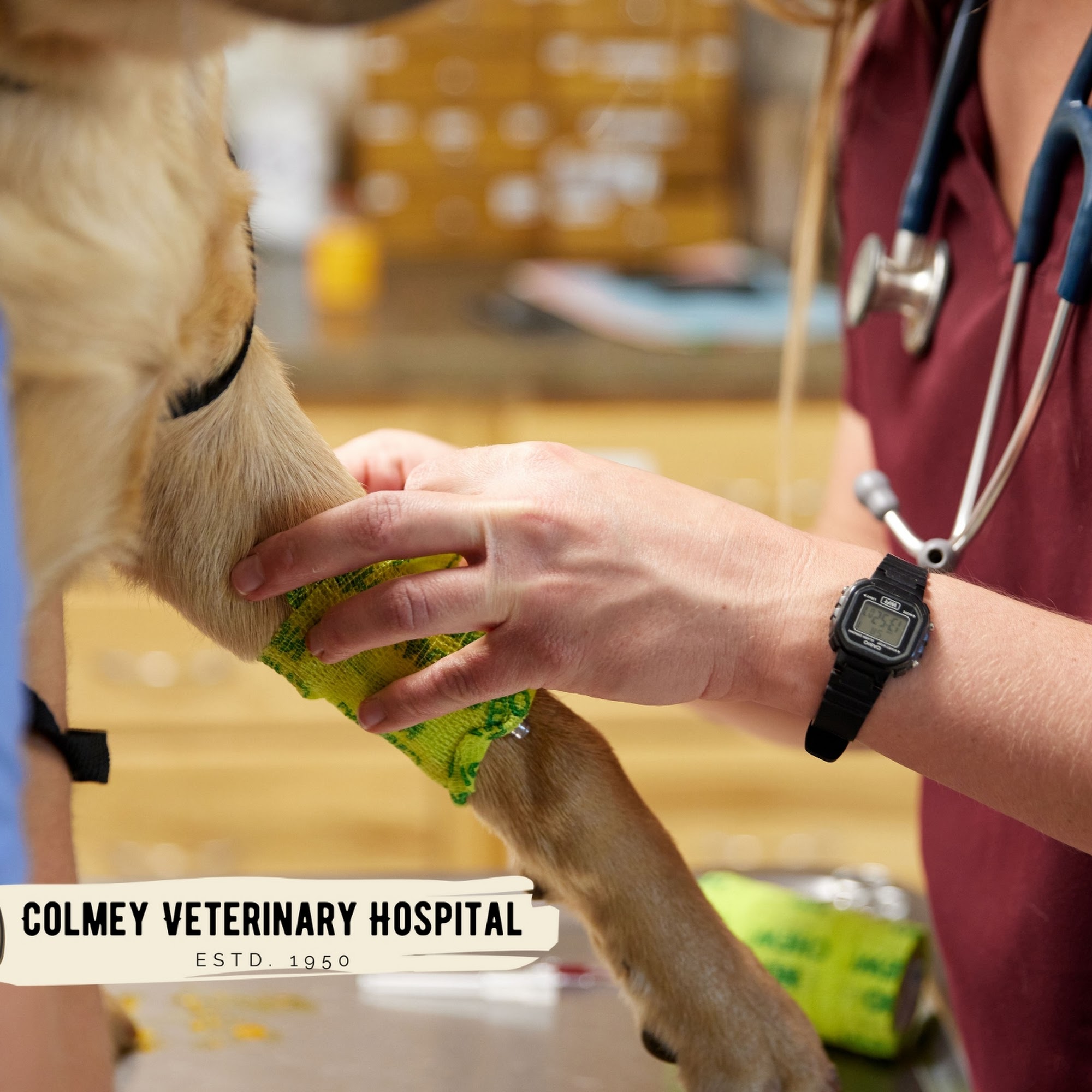 Colmey Veterinary Hospital Livingston