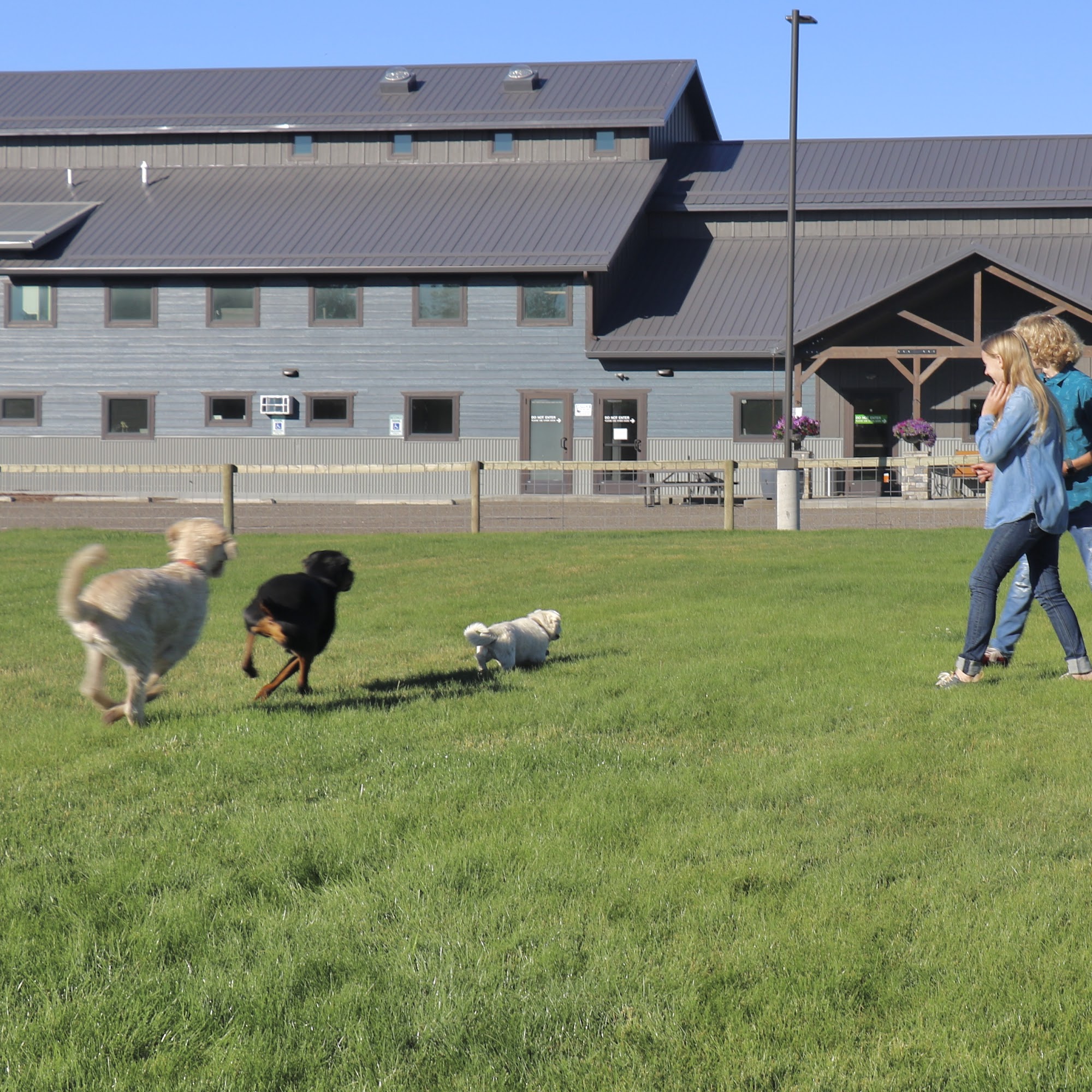 Sleeping Giant Animal Clinic Livingston