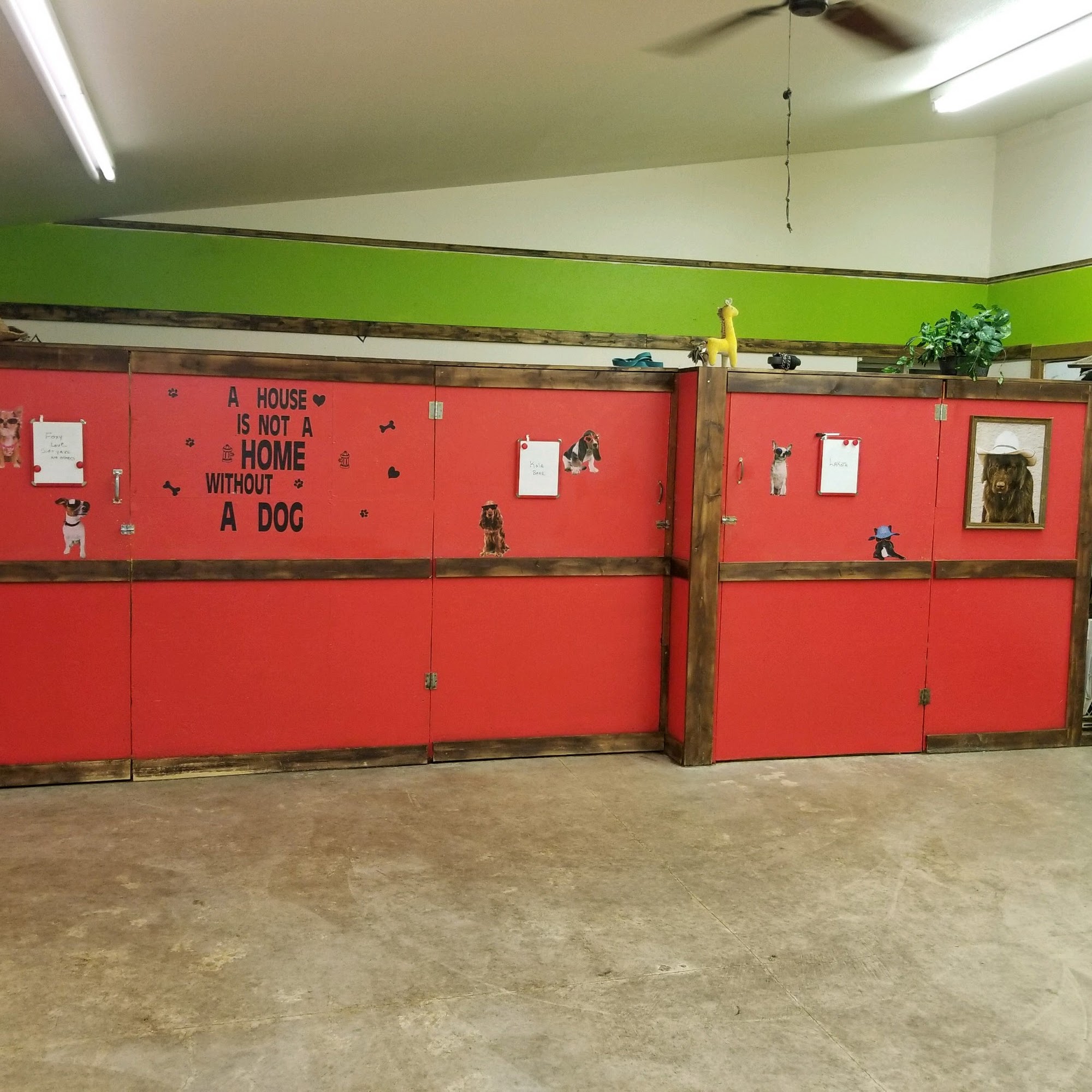 All Wags and Whiskers Livingston