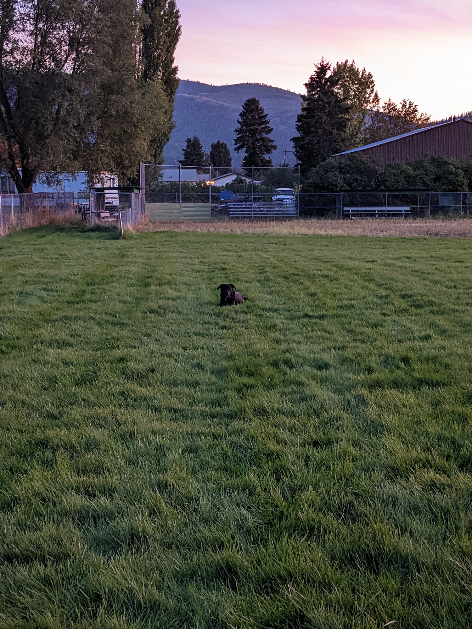 Hellgate Lions Park Milltown