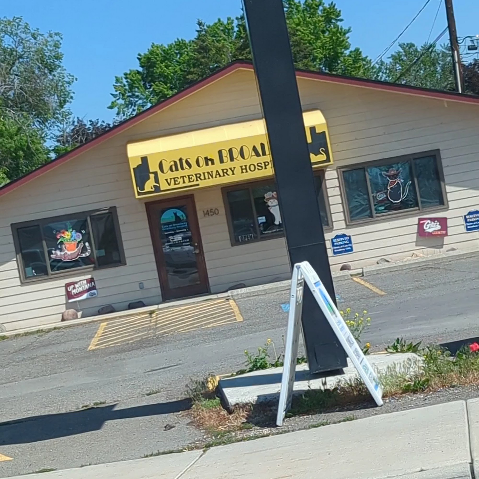 Cats On Broadway Veterinary Hospital Missoula