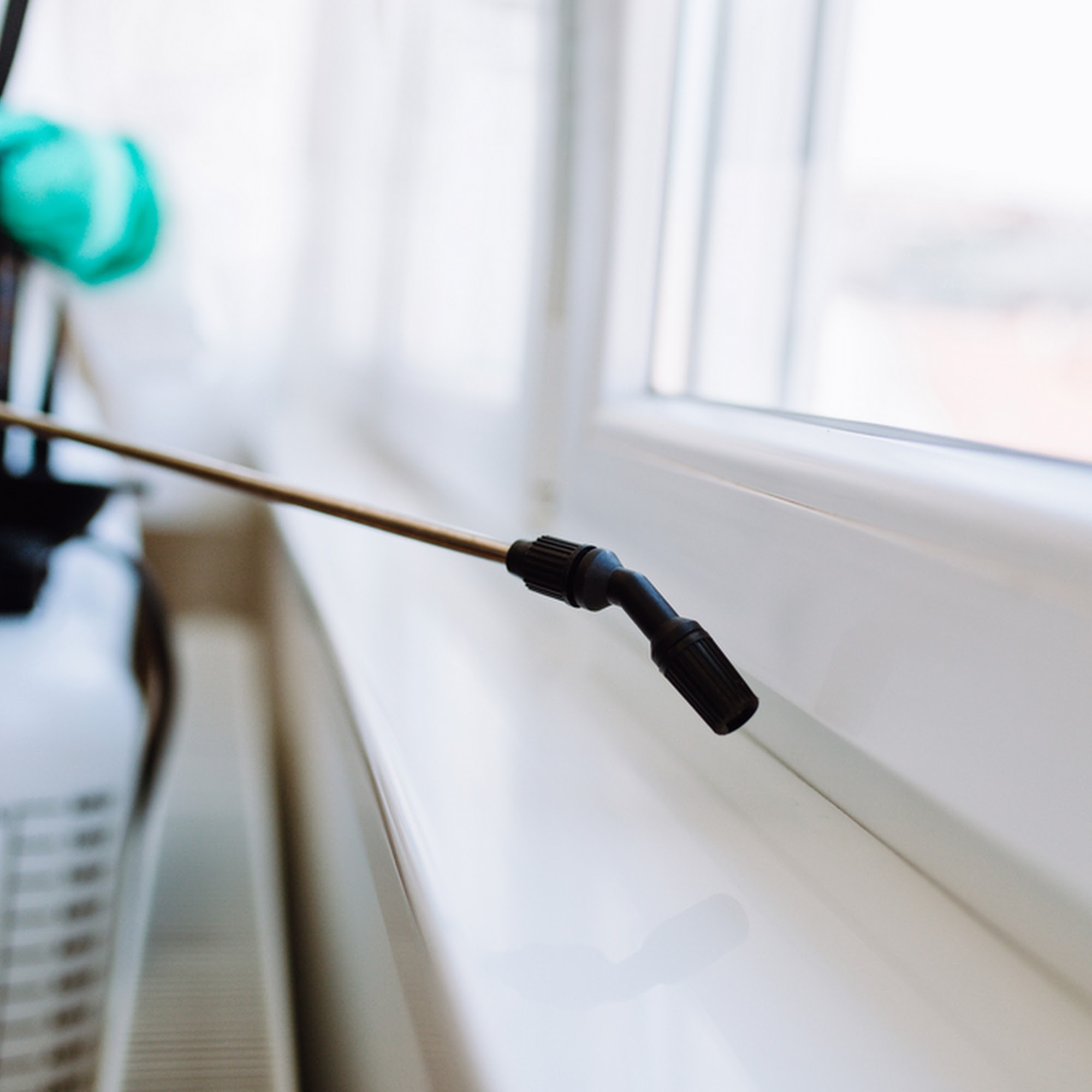 AAA PEST CONTROL, LLC 1545 Cooley St APT F, Missoula Montana 59802