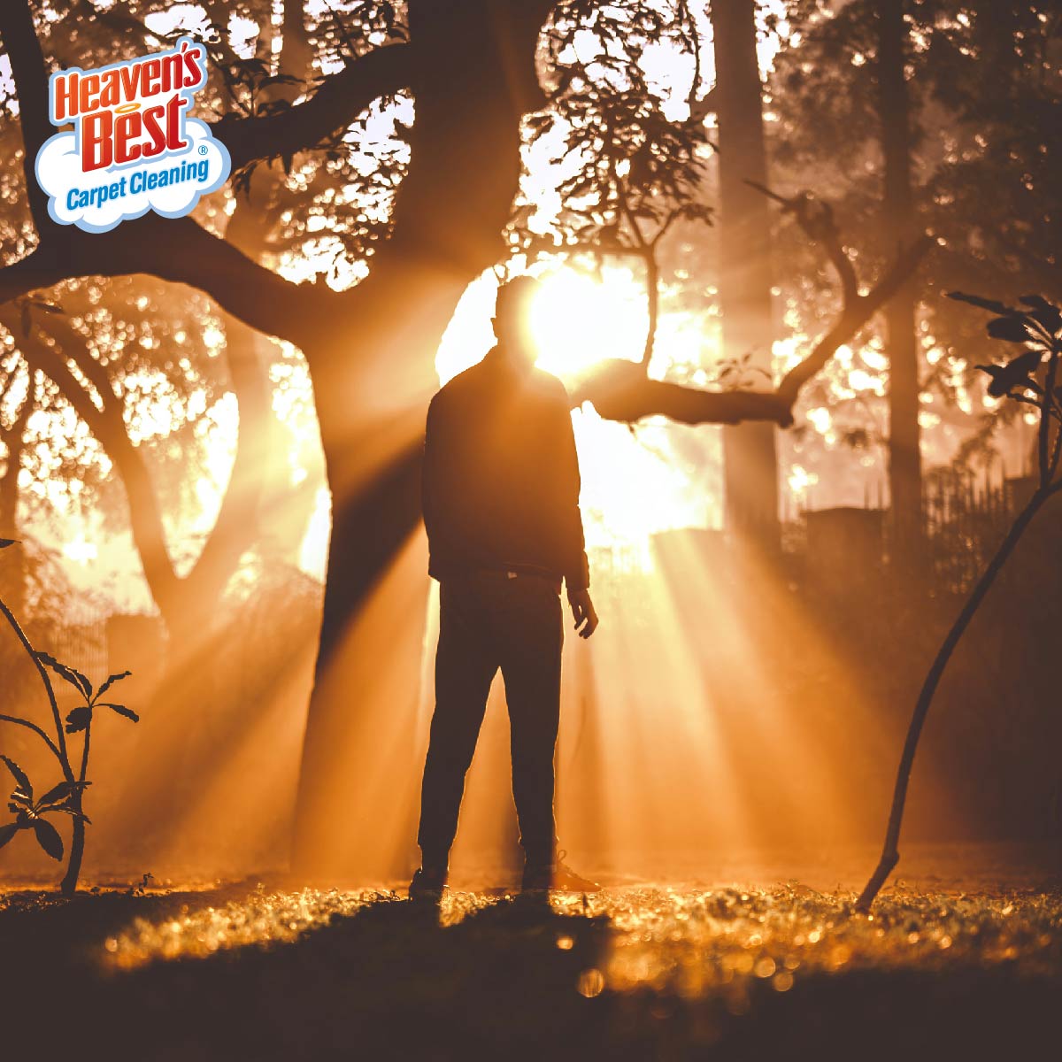 Heaven's Best Carpet Cleaning