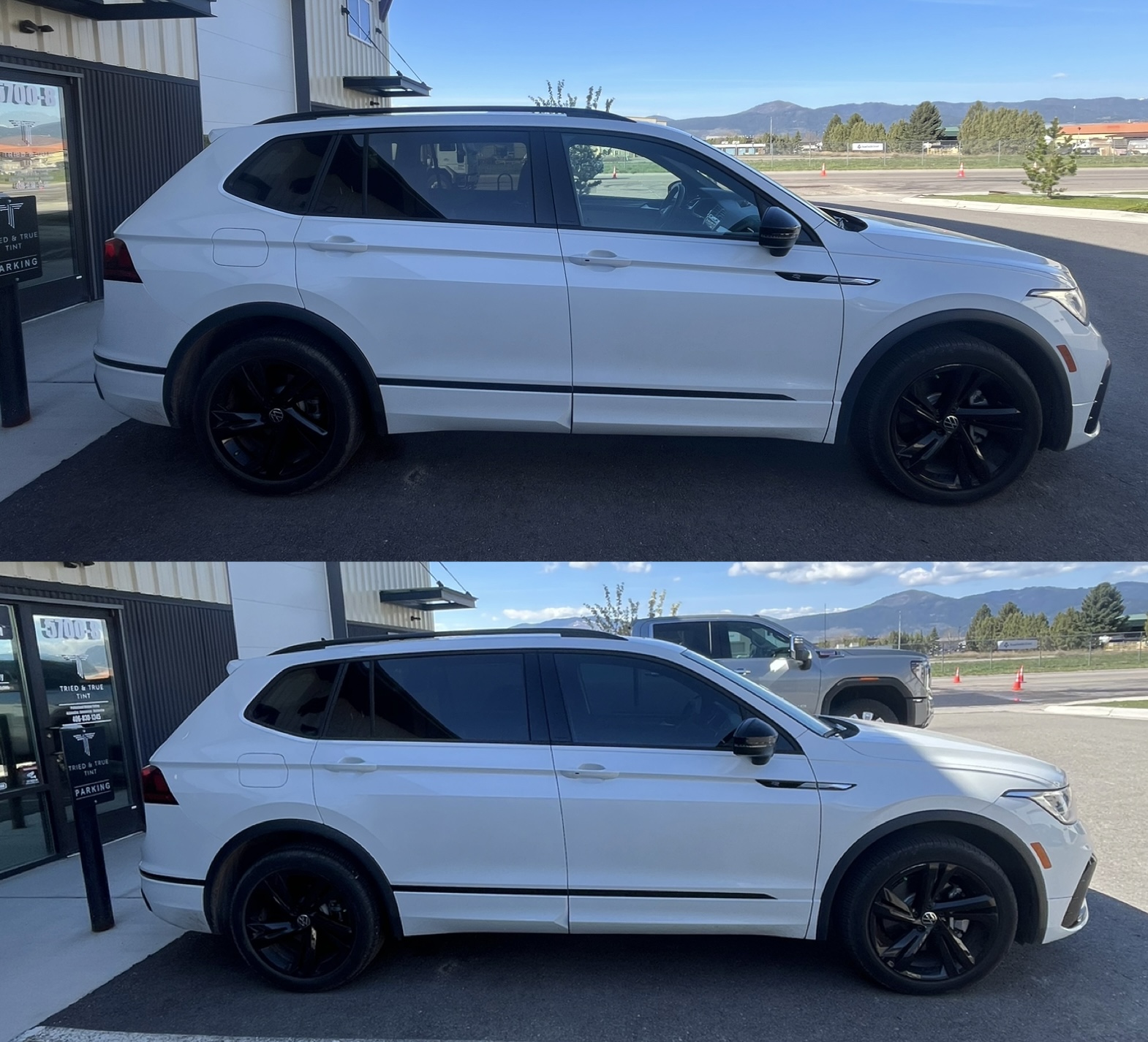 Tried and True Tint Missoula