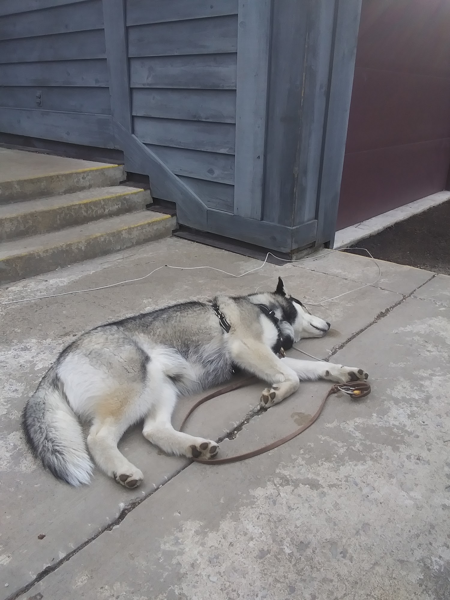 Southshore Veterinary Services Polson