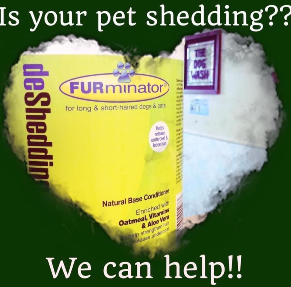 The Barking Lot Polson