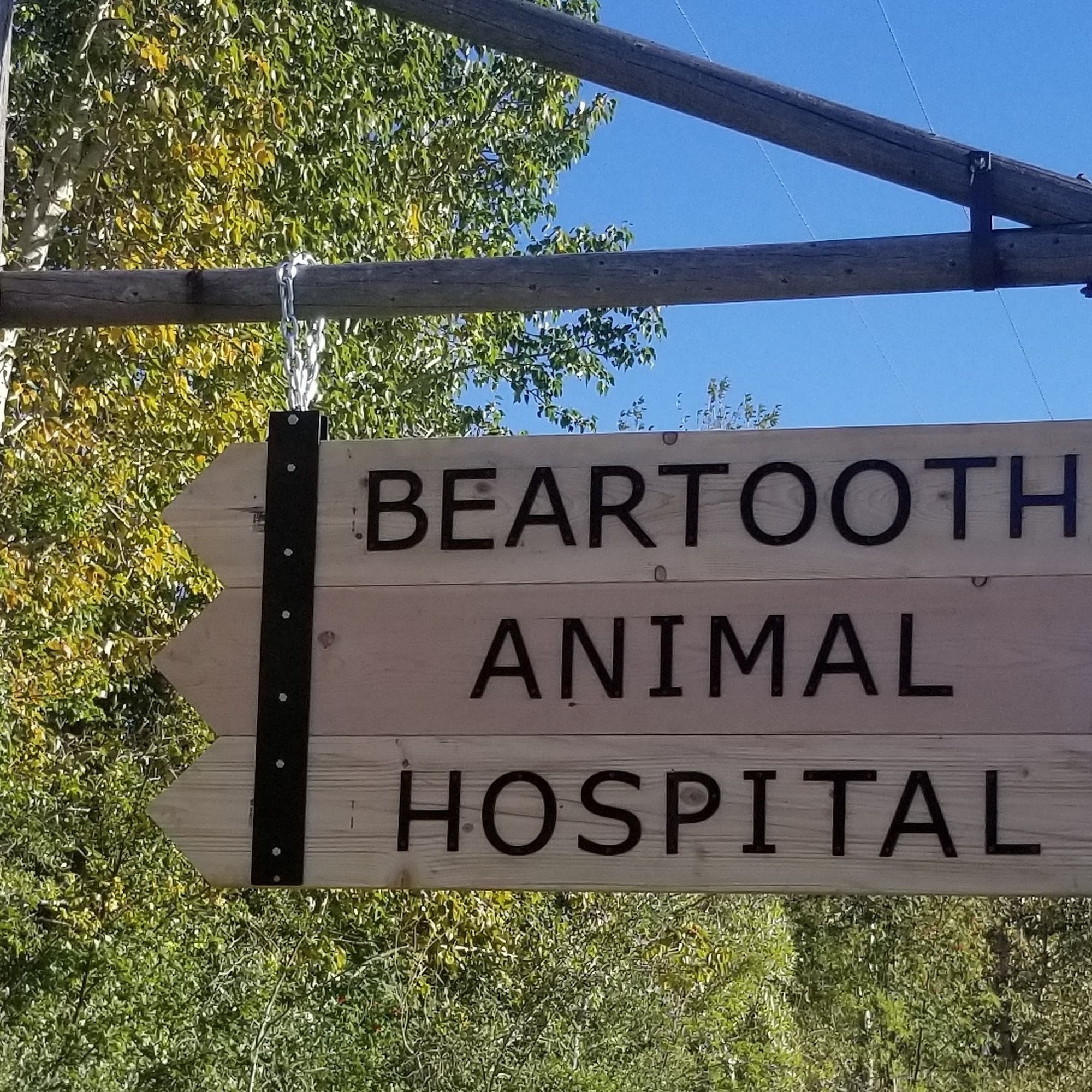 Beartooth Animal Hospital Red Lodge