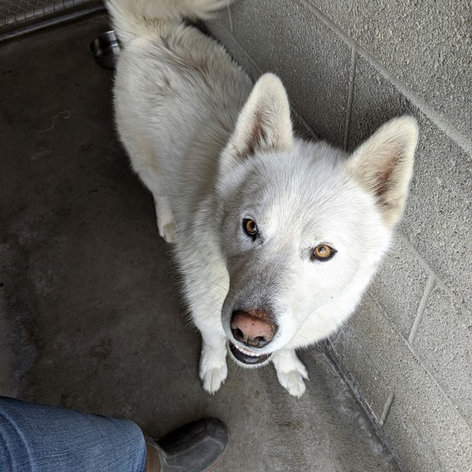 Mission Valley Veterinary Clinic Ronan