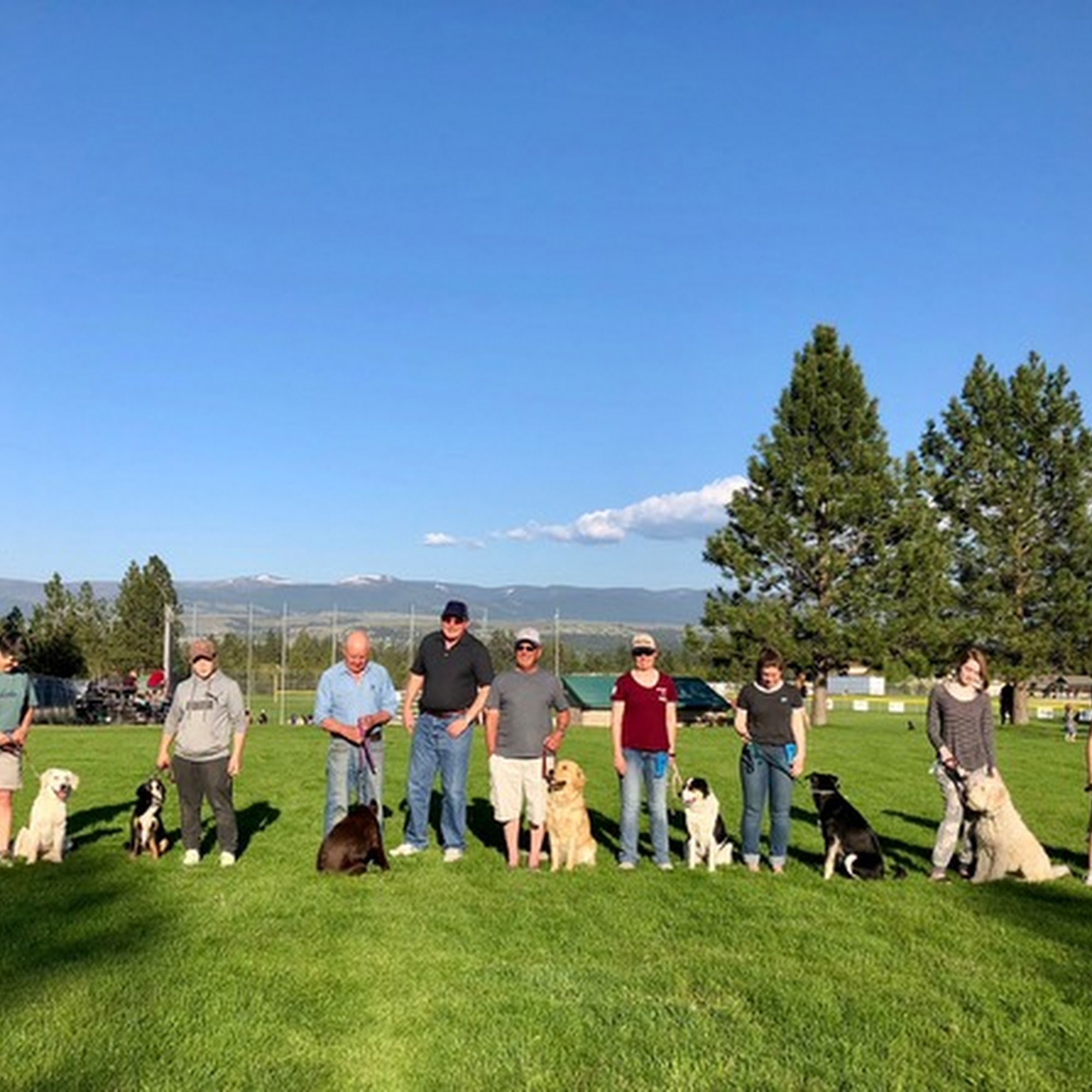 On Command Dog Obedience Training Stevensville