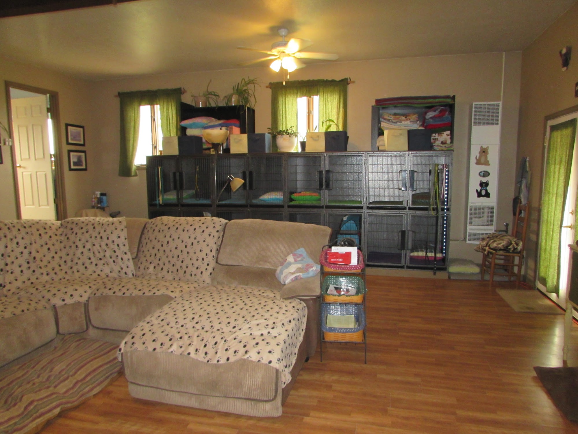 Clark's Canine Camp Stevensville