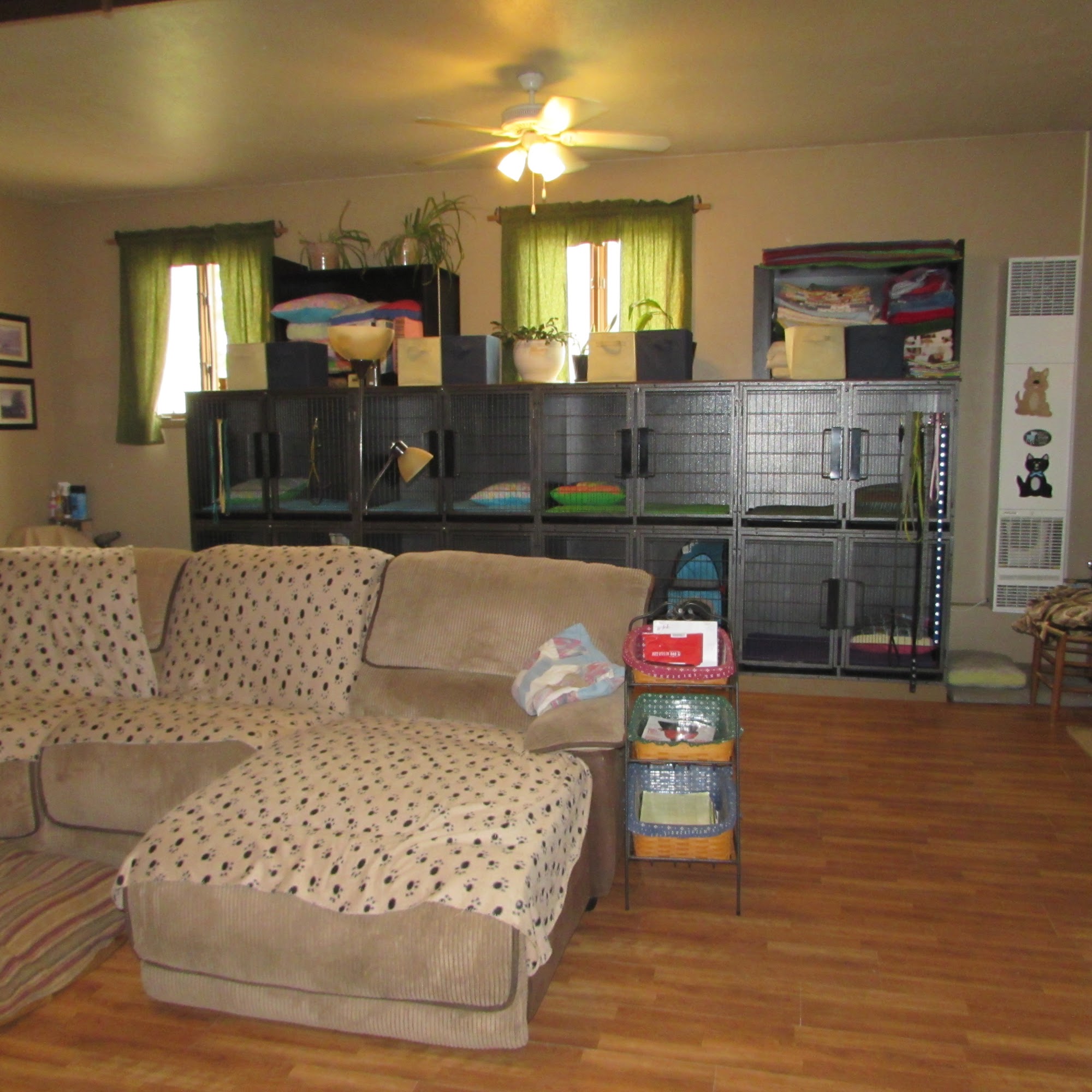 Clark's Canine Camp Stevensville