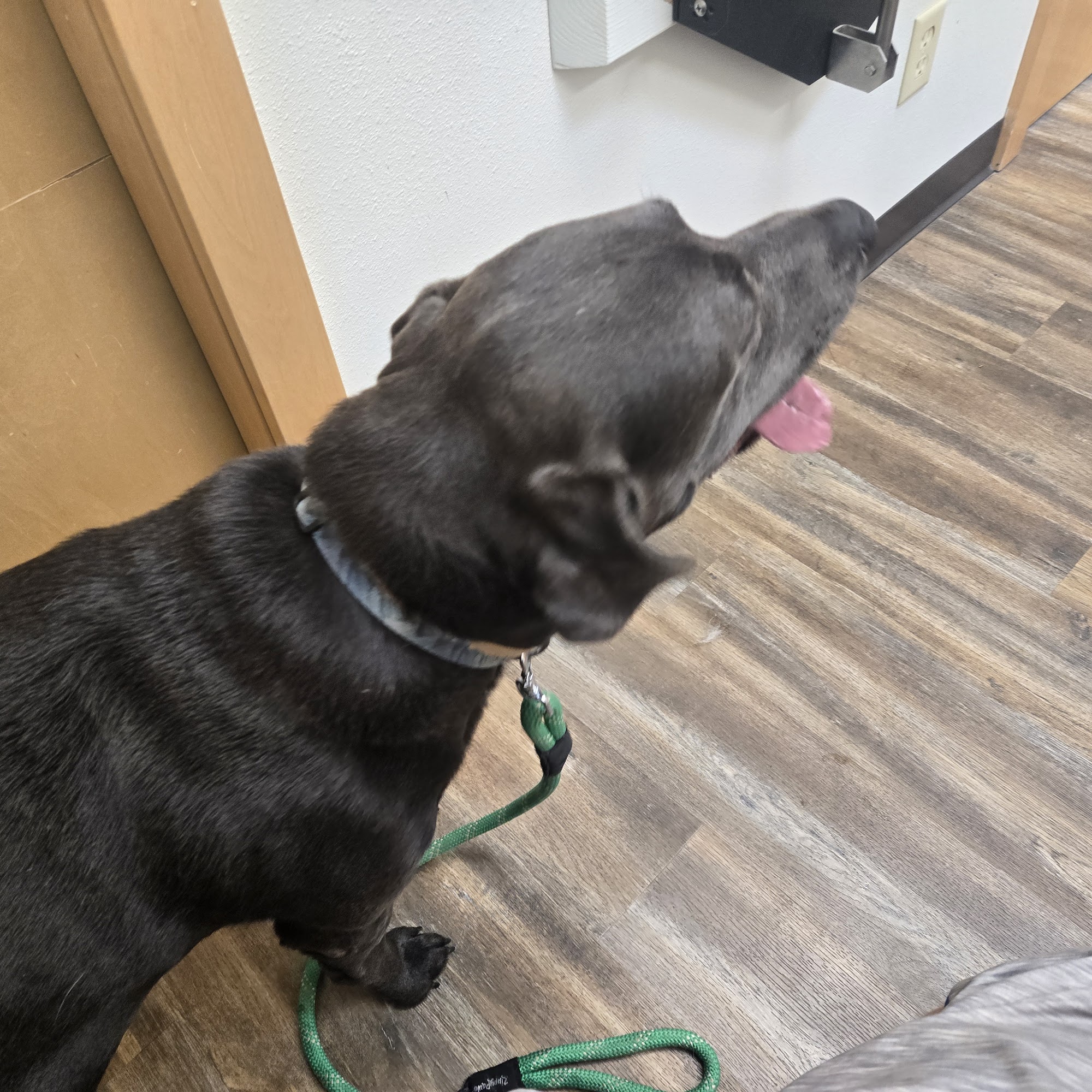 Headwaters Veterinary Hospital Three Forks