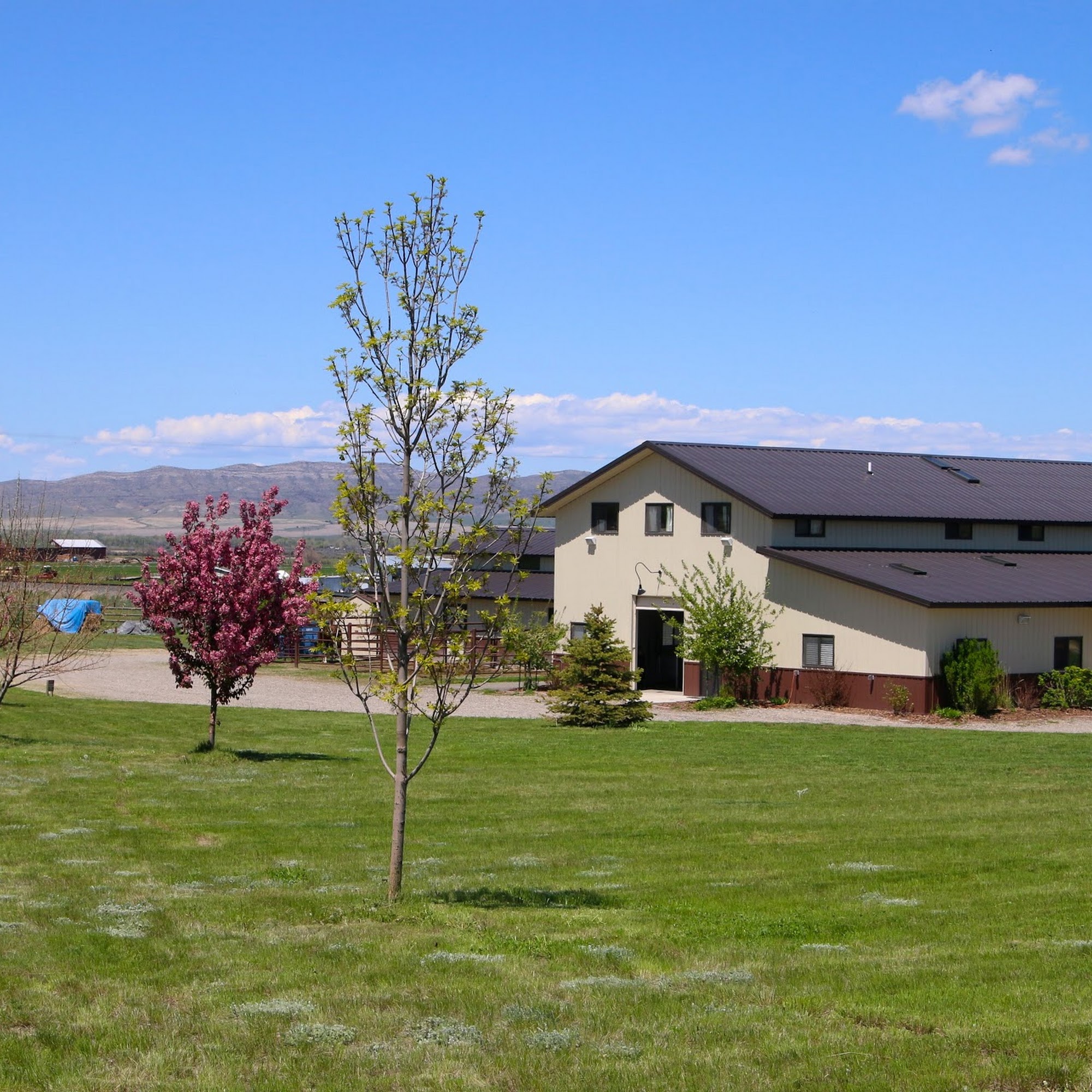 Montana Equine Medical & Surgical Center Three Forks