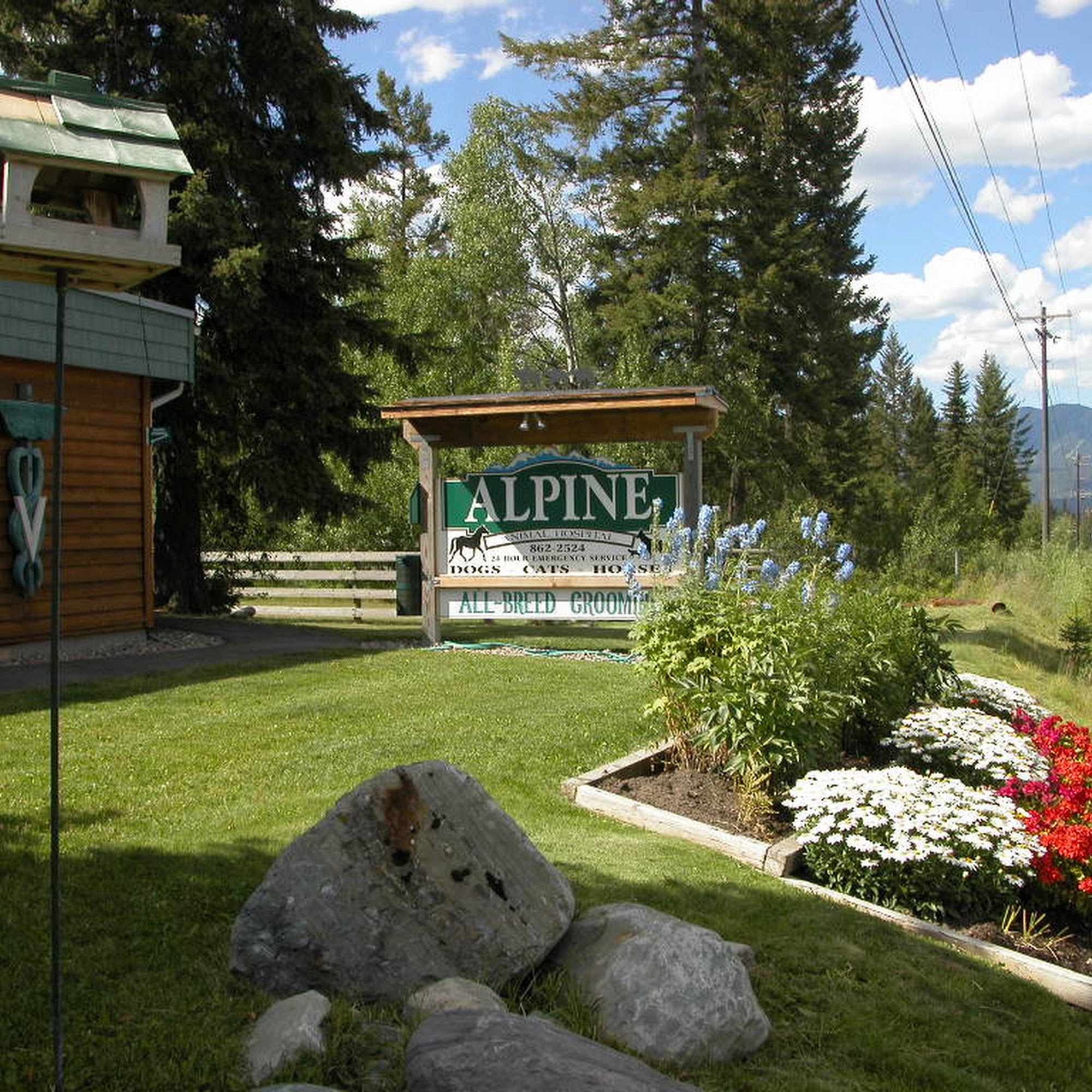 Alpine Animal Hospital Whitefish