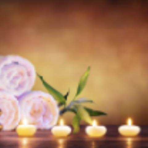 Healers Touch