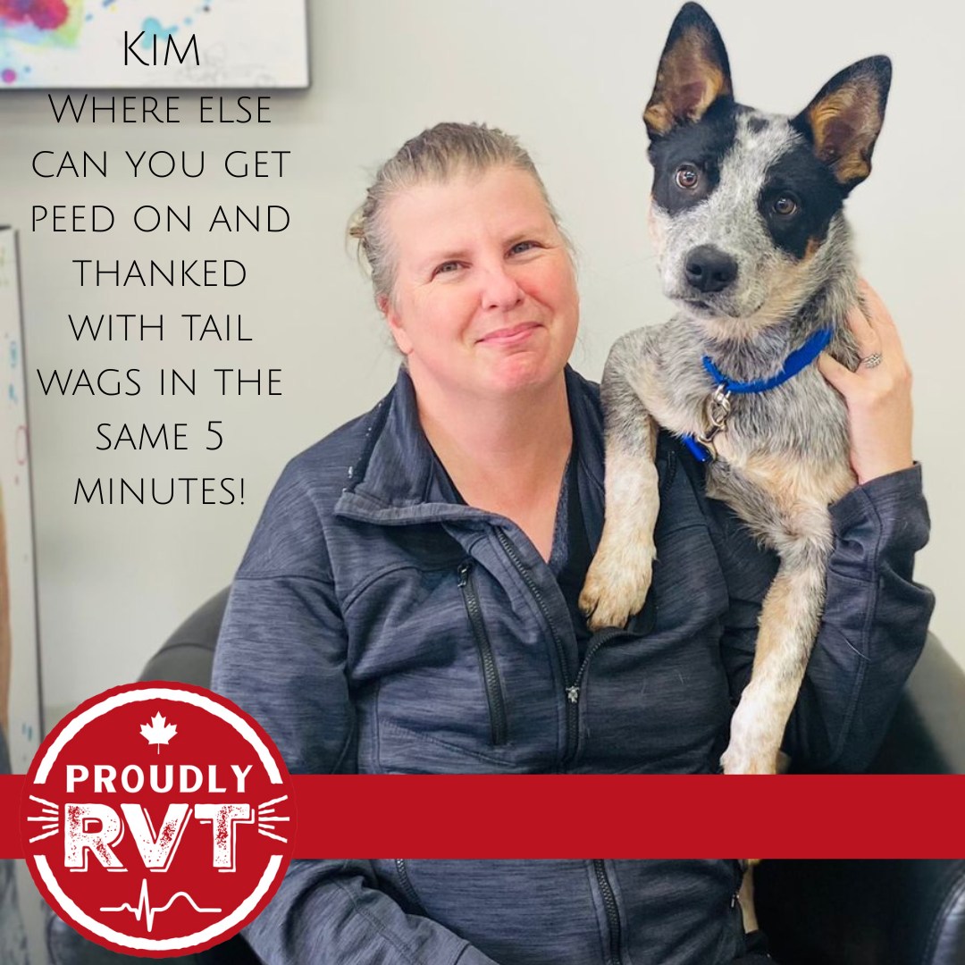 Fredericton Animal Hospital Fredericton