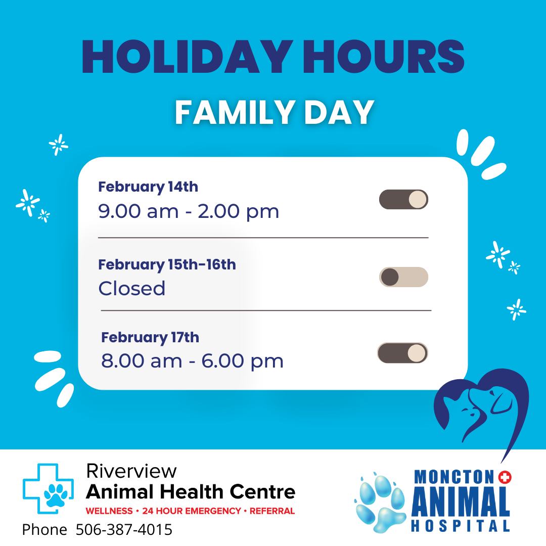 Moncton Animal Hospital Moncton