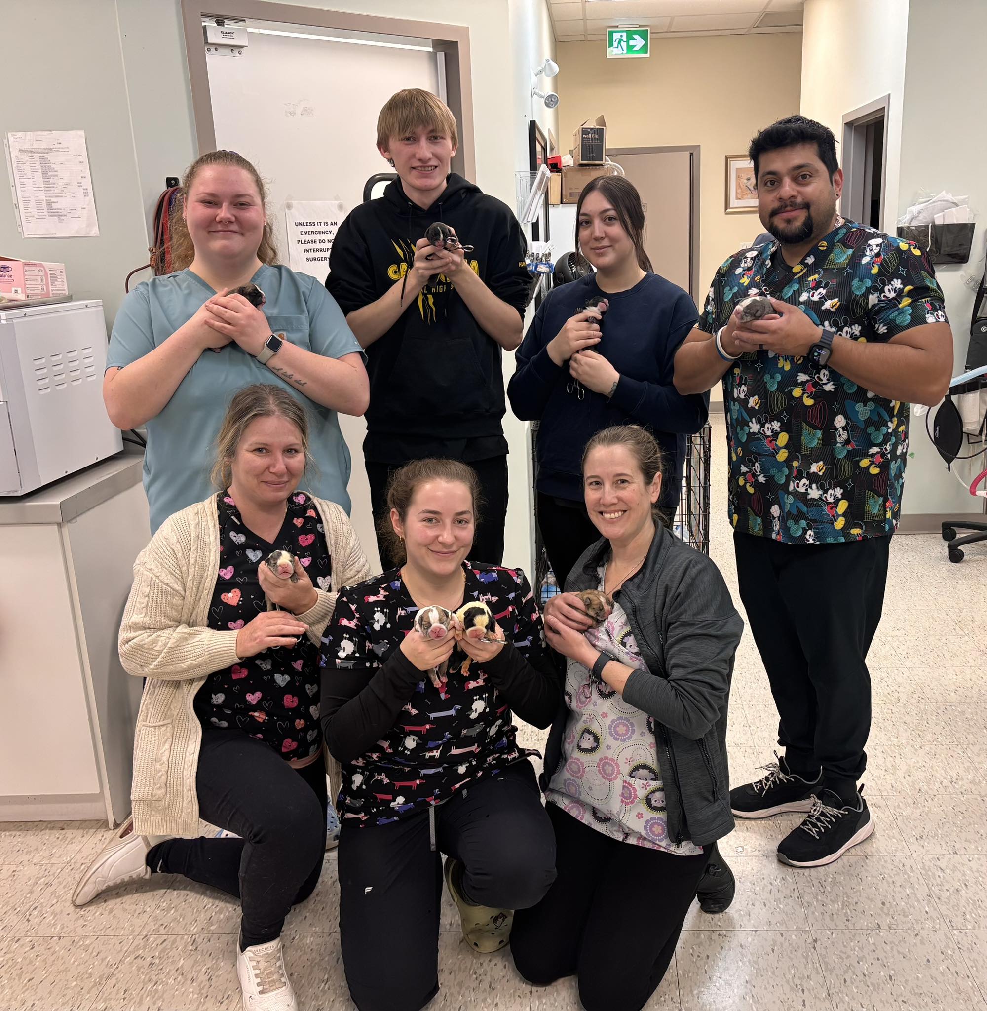 Adeline Animal Hospital Moncton