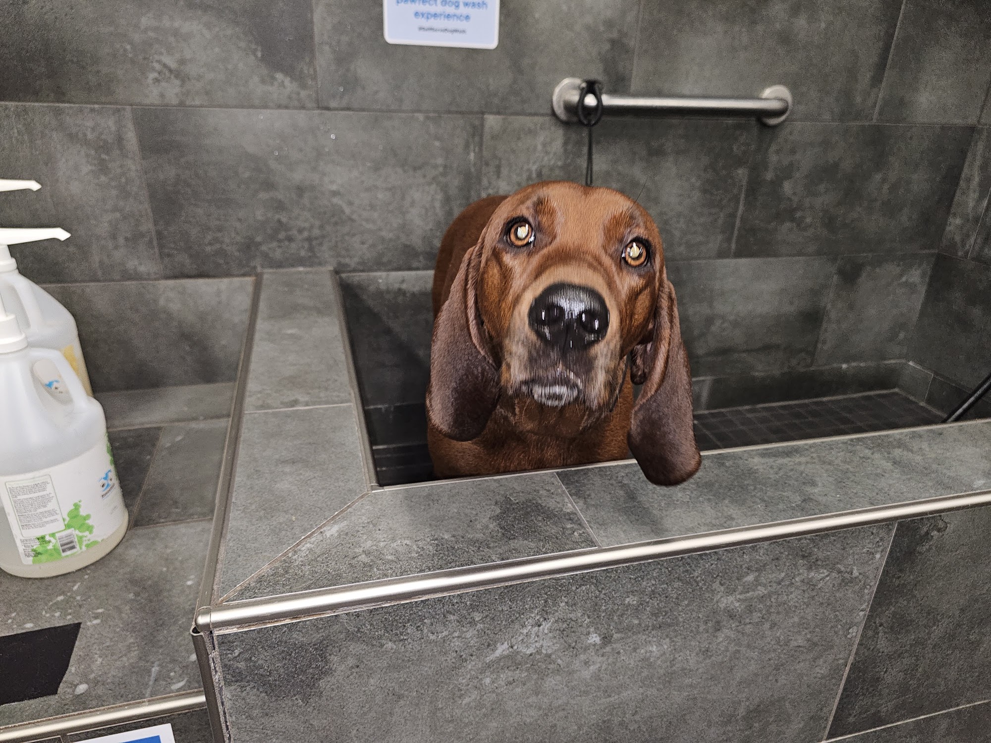 Pet Valu Oromocto