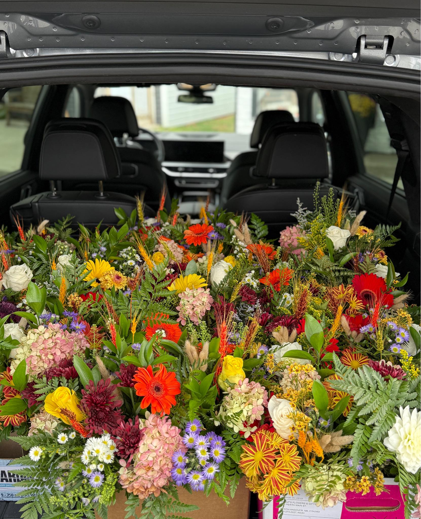 Plants Flower Pot & Gifts