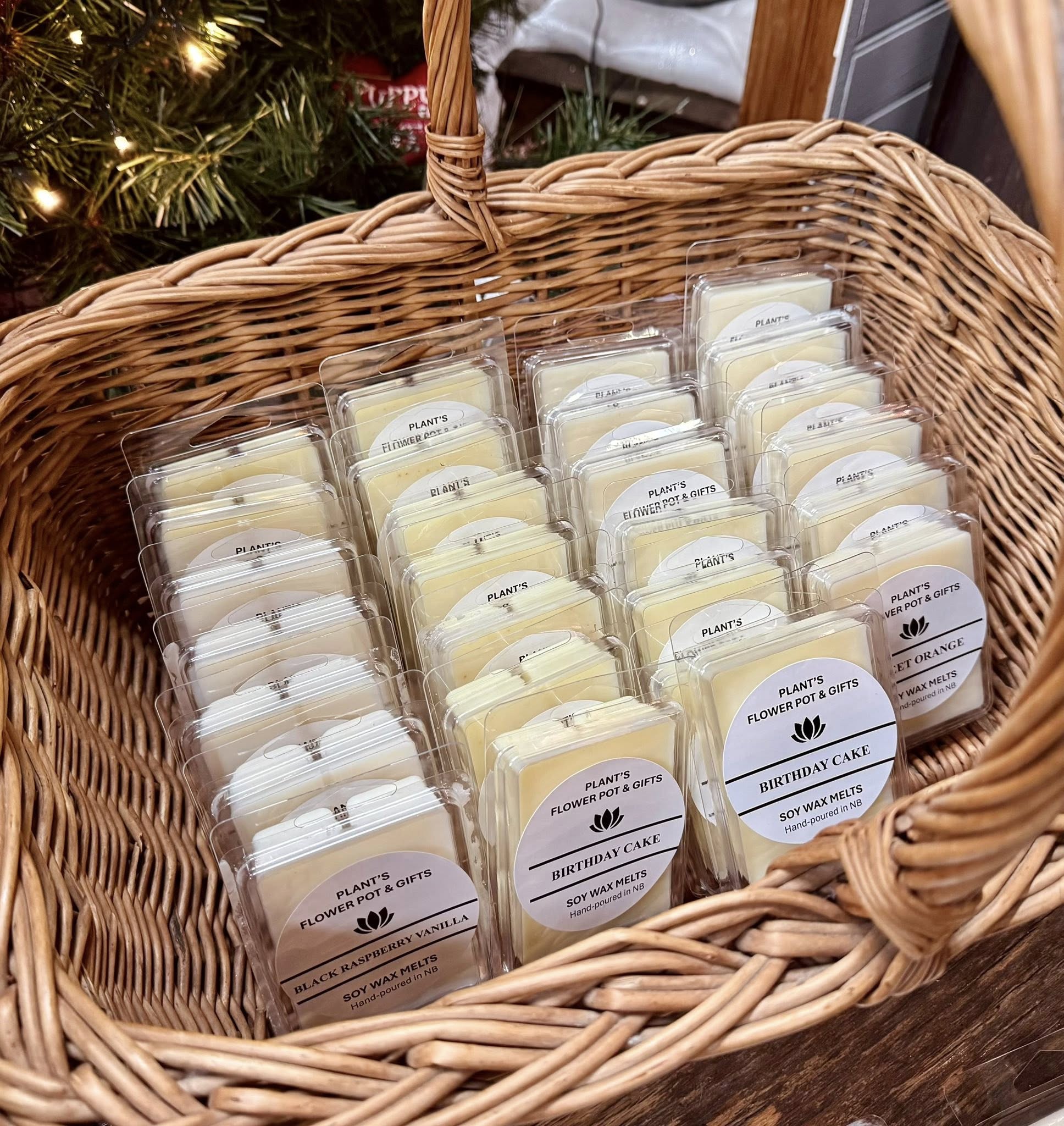 Plants Flower Pot & Gifts