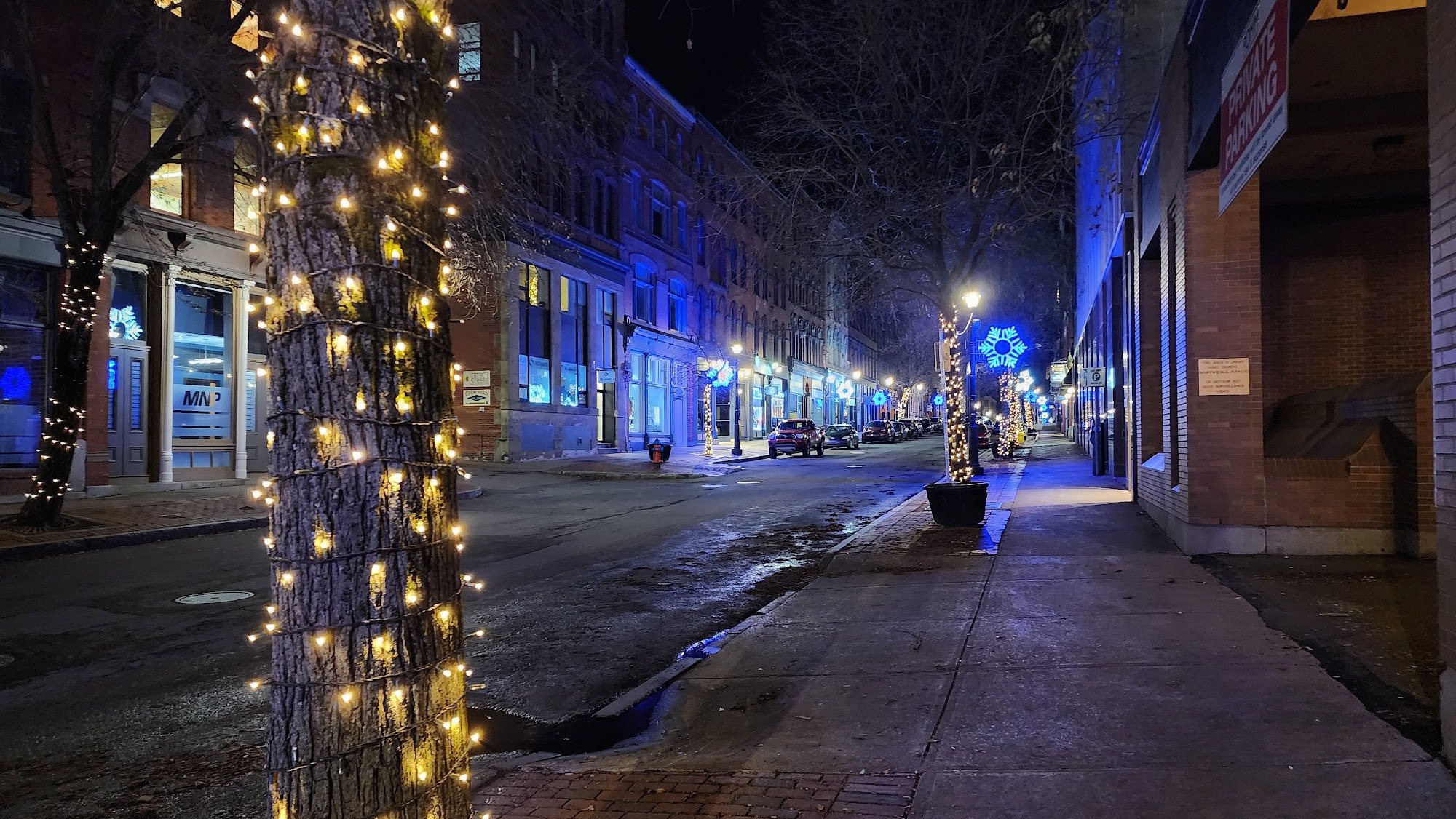 Java Moose Saint John