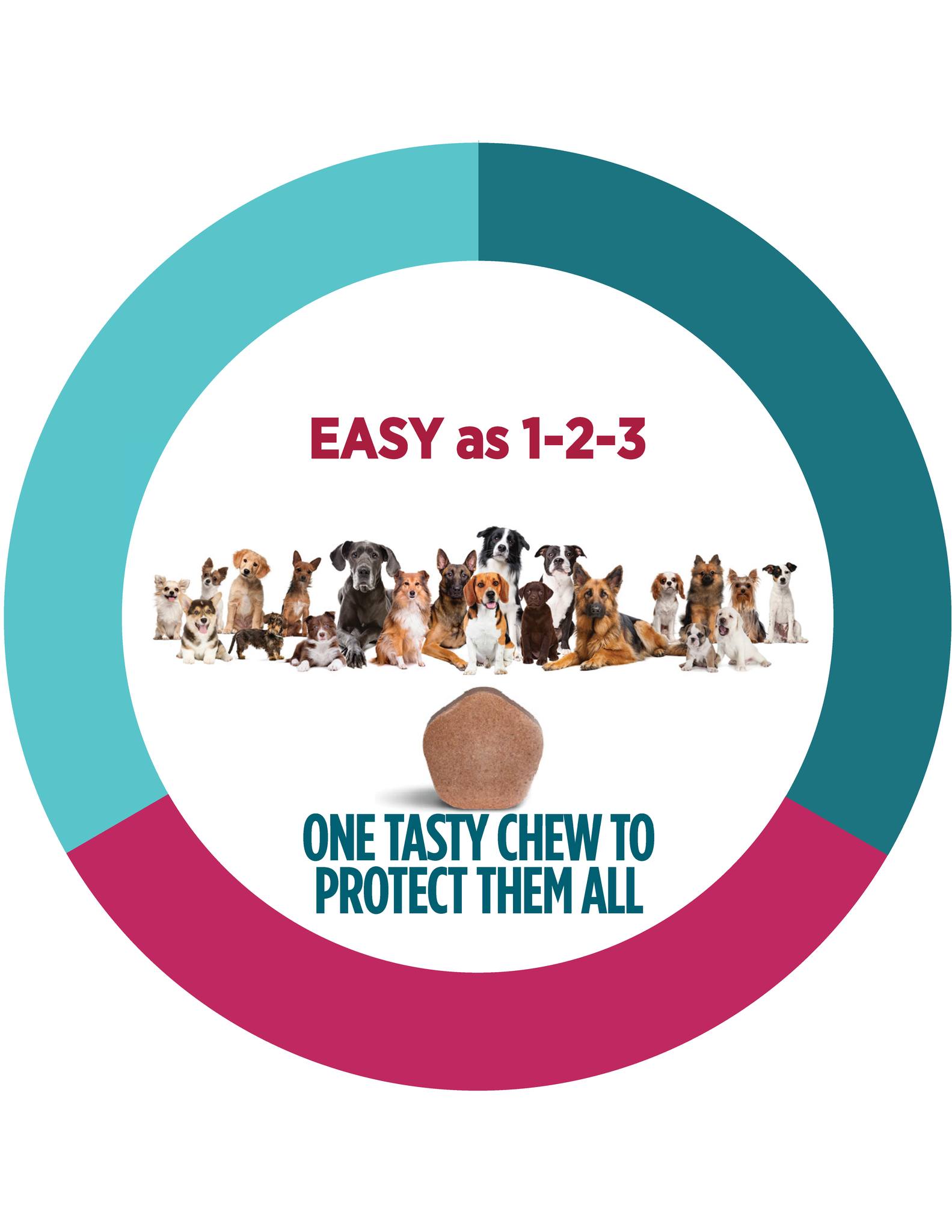 Loch Lomond Veterinary Hospital Saint John