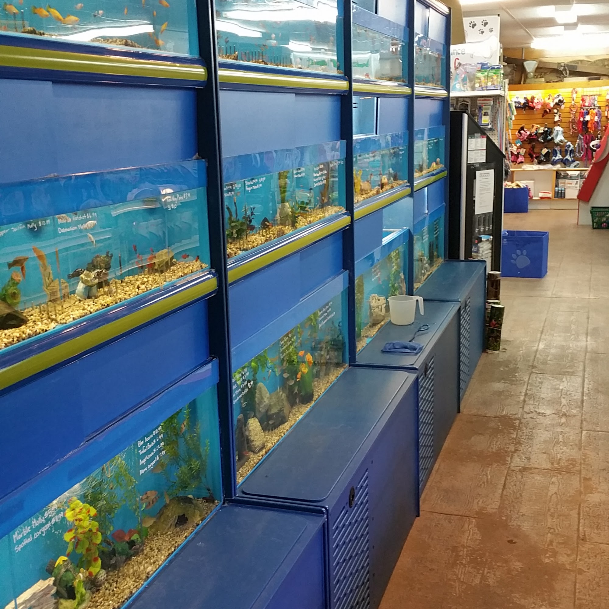 Pet Corral Nutrition Care & Supply Depot Saint John