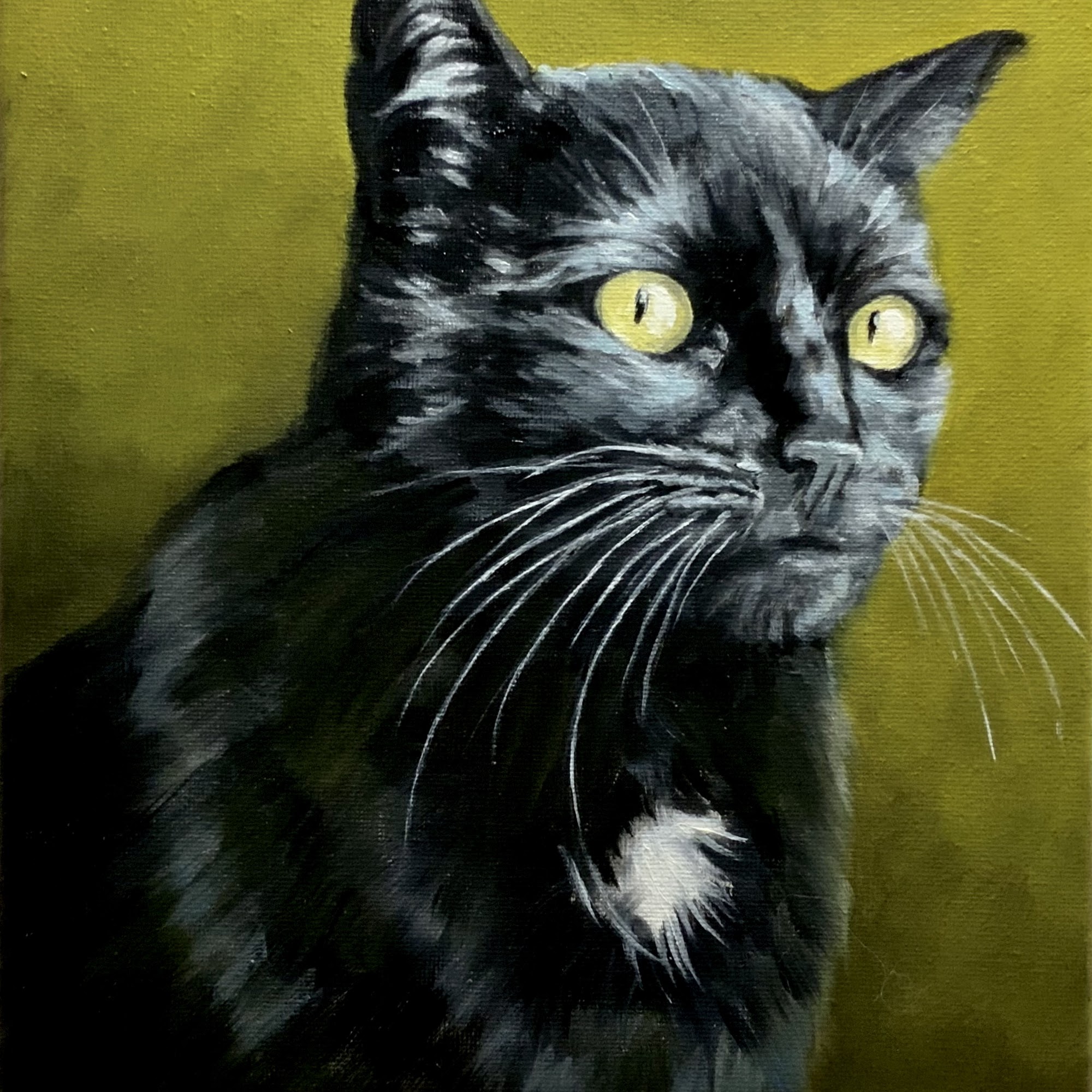 Pet Portraits by Sara Sparks St. George