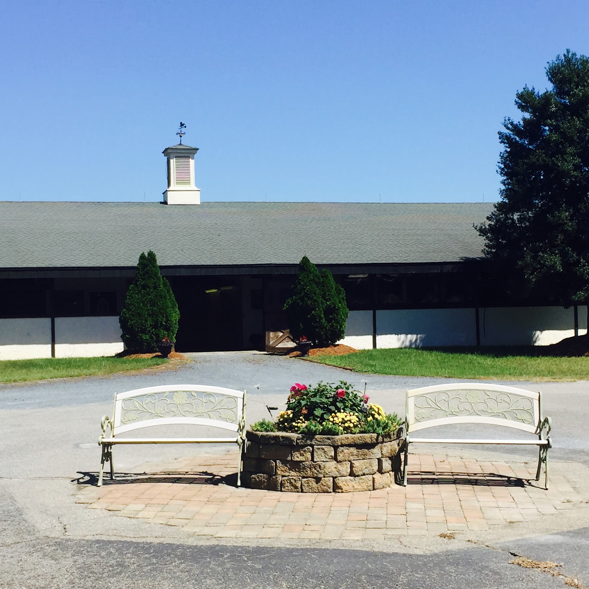 Hassinger Equine Sports Medicine & Rehabilitation Aberdeen