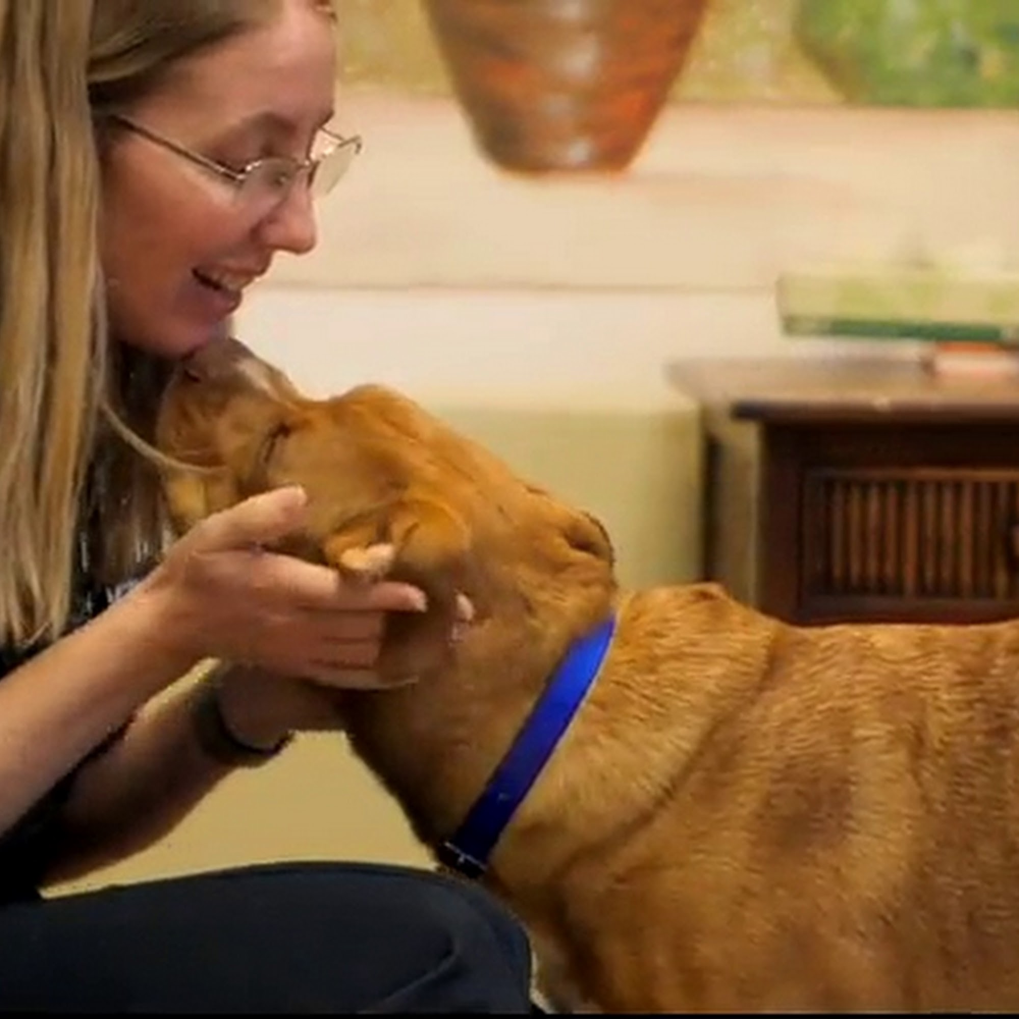 Pinetree Animal Hospital Aberdeen