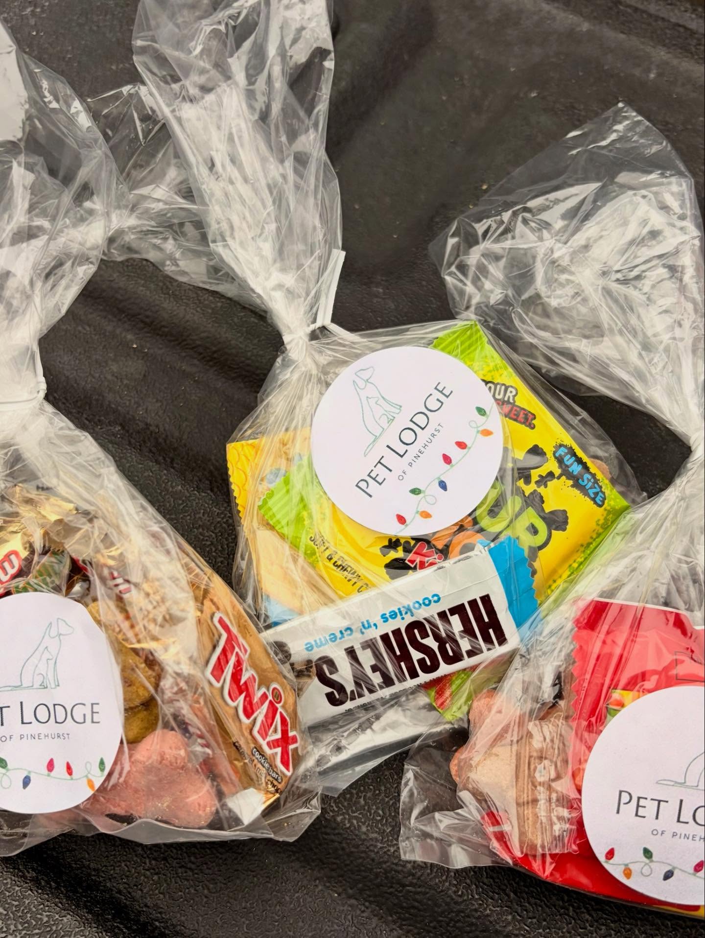 The Pet Lodge of Pinehurst Aberdeen