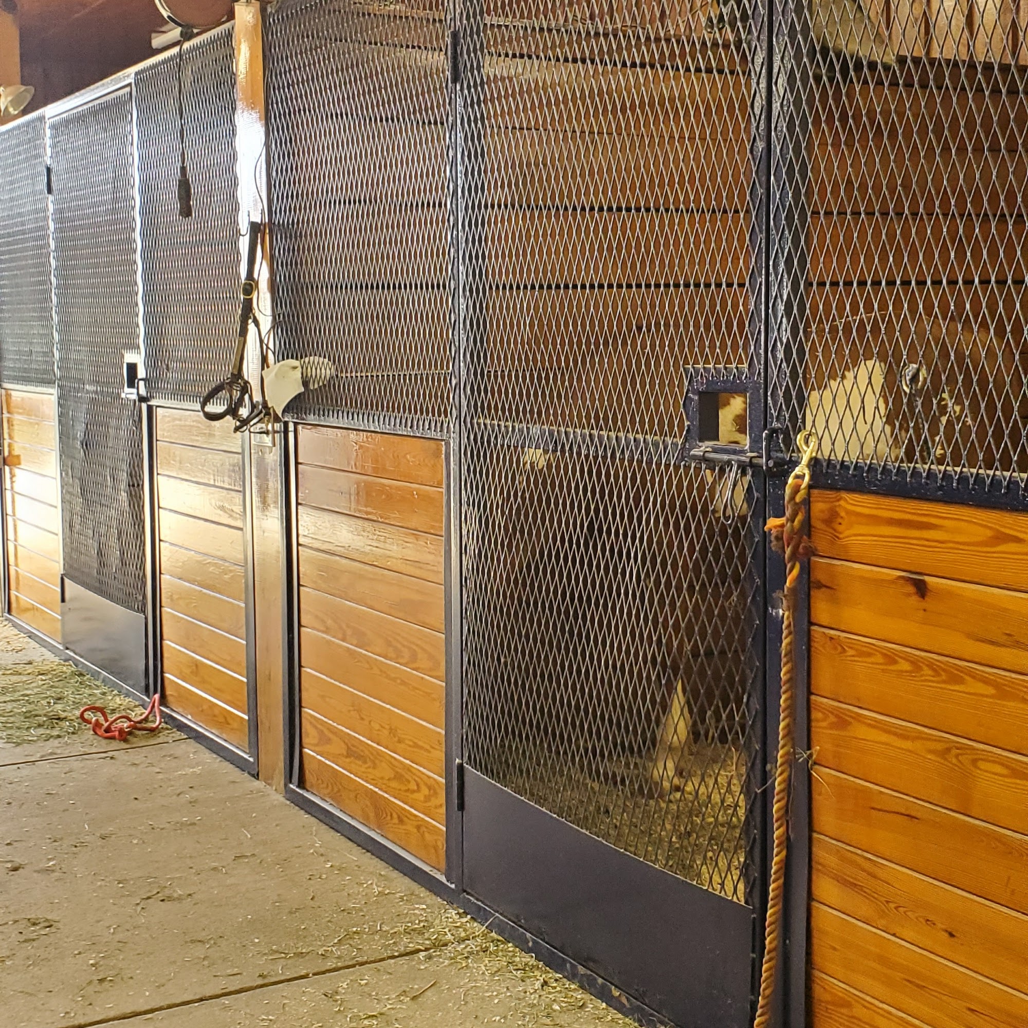 Greystone Veterinary Service Advance