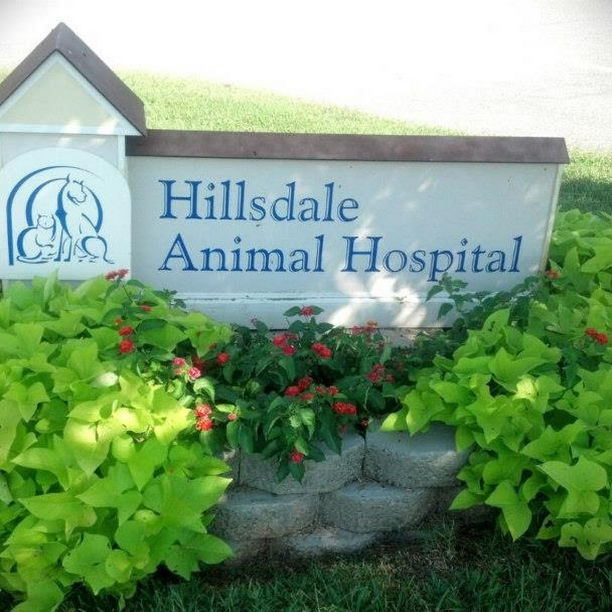 Hillsdale Animal Hospital - Violet Kirk, DVM Advance