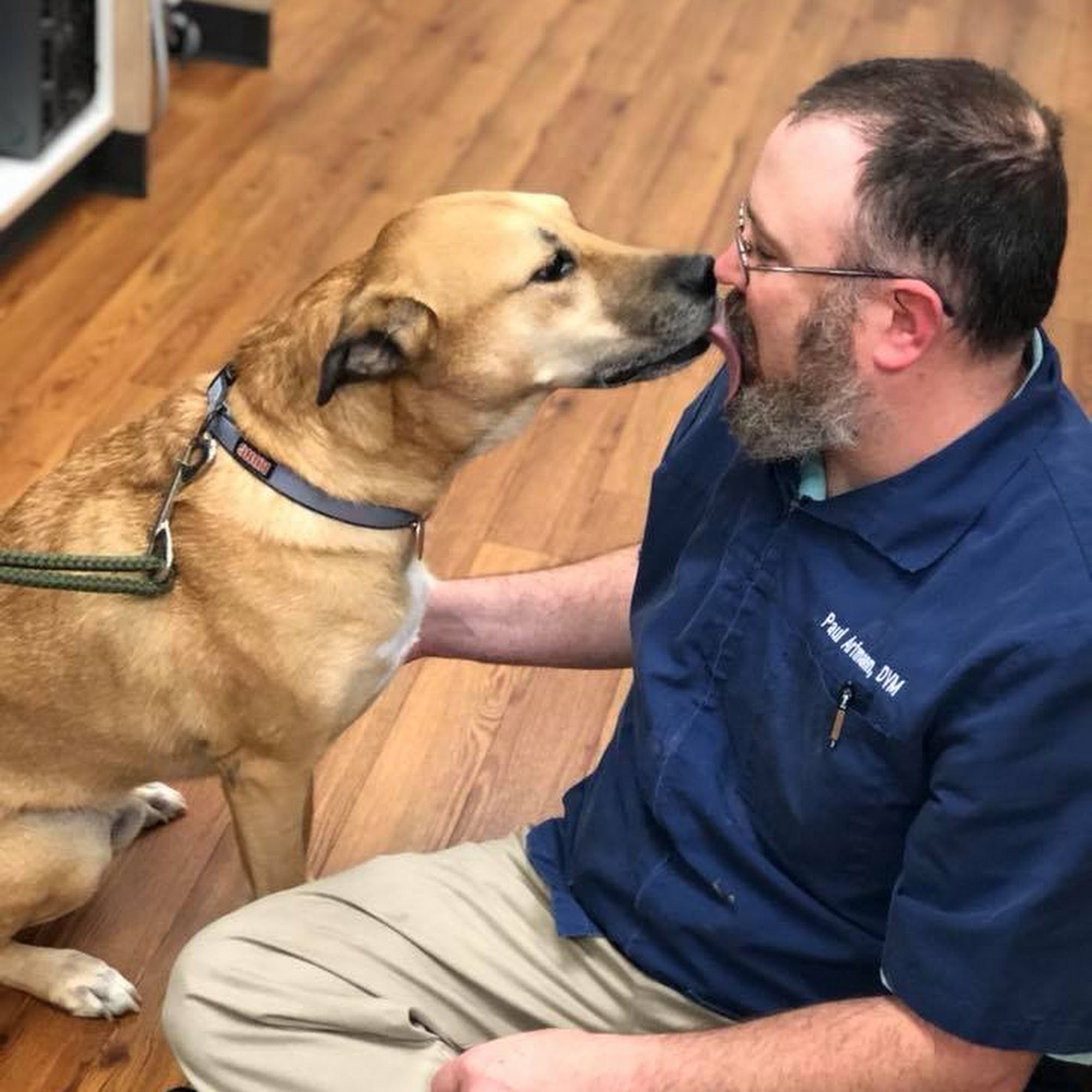 Village Way Veterinary Advance