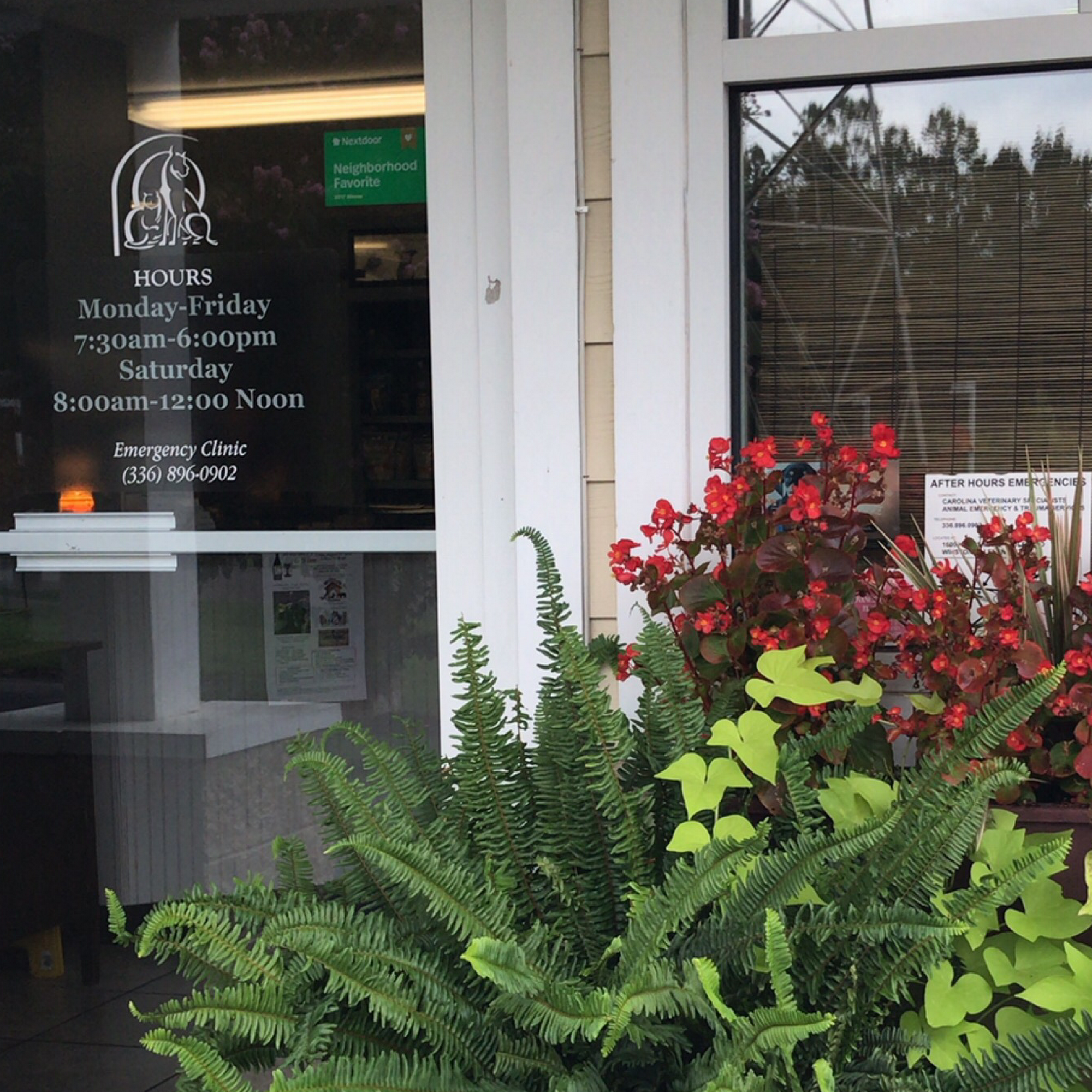 Hillsdale Animal Hospital Advance