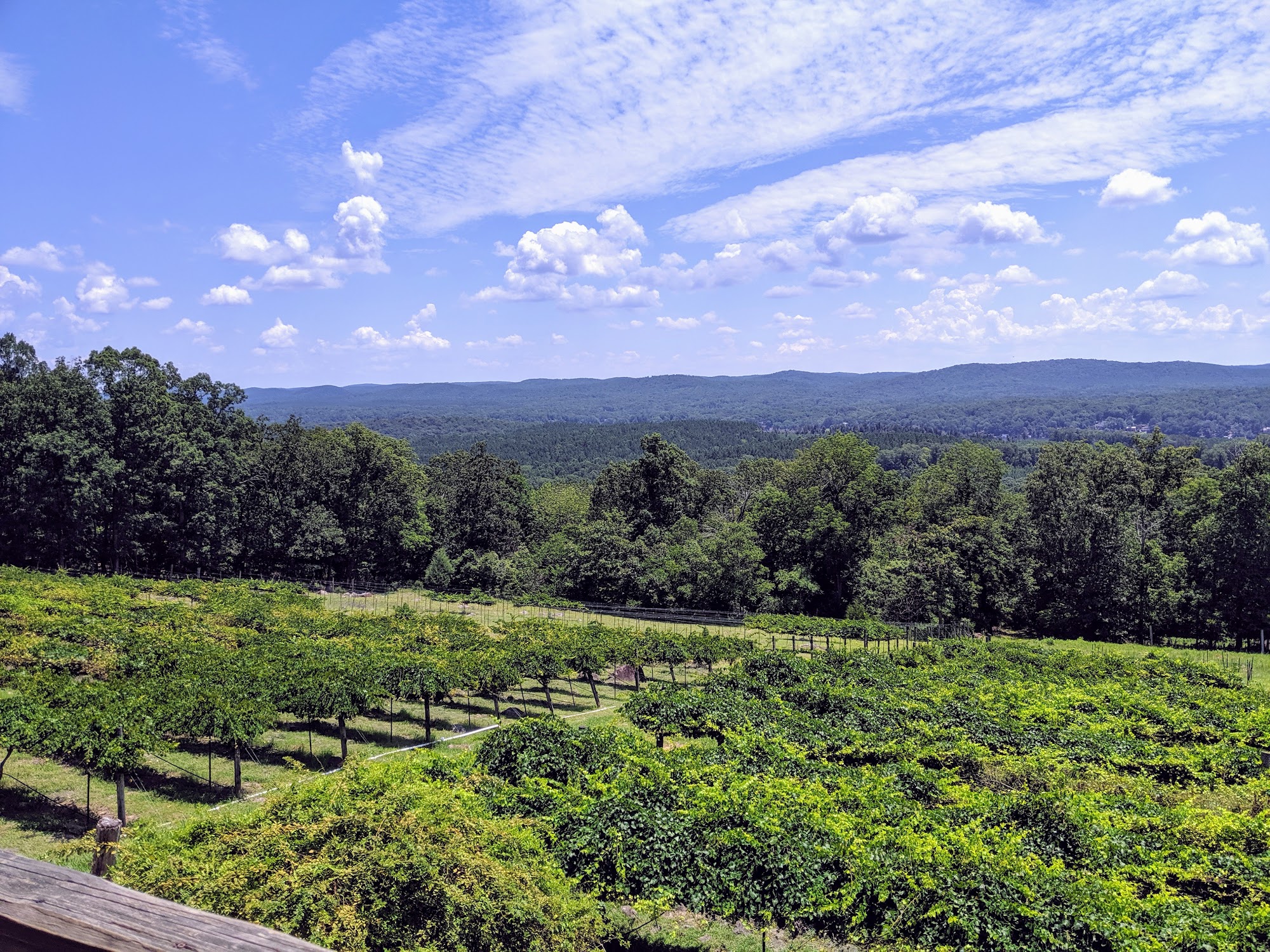 Stony Mountain Vineyards Albemarle