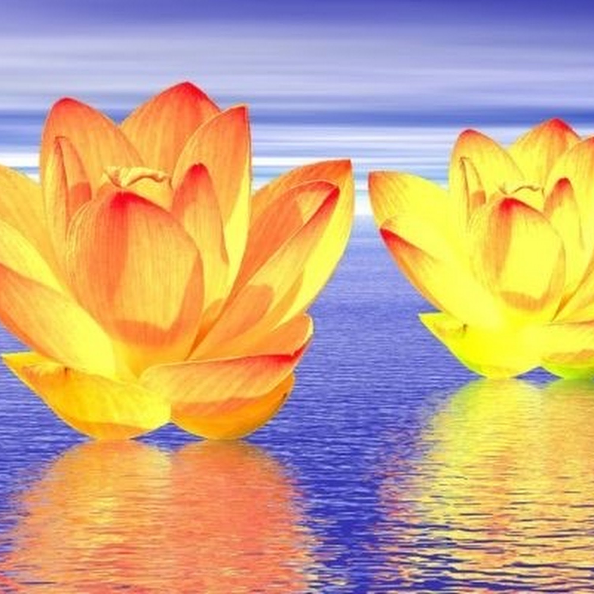 Psychic reader and consultant 32213 nc highway 24, 27 hwy, Albemarle North Carolina 28001