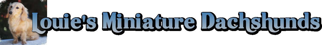 Louie's Dachshunds Andrews